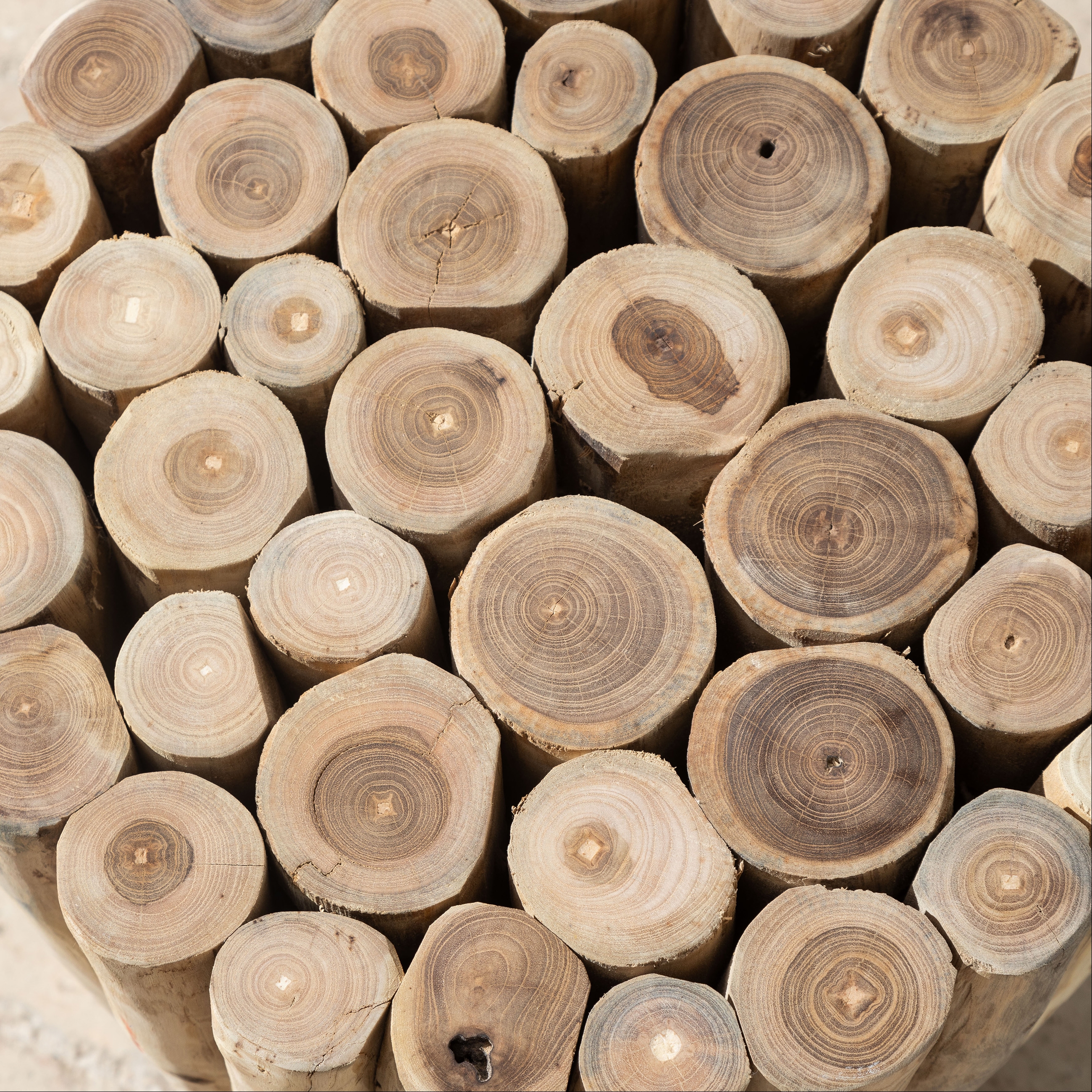 BRANDY YAN SEHPA KÜÇÜK