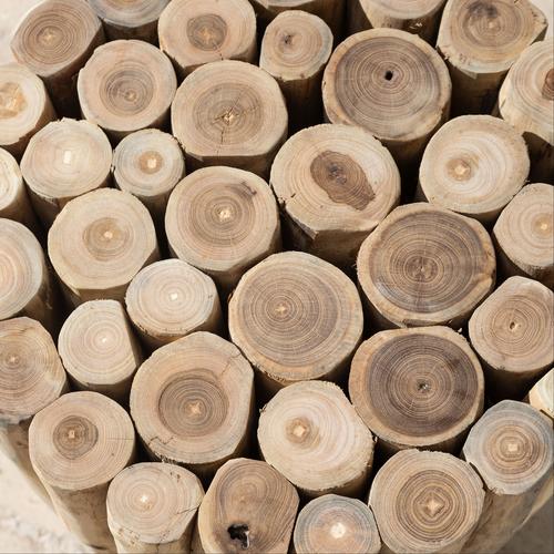  BRANDY YAN SEHPA KÜÇÜK