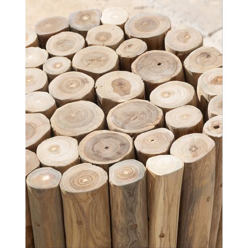  BRANDY YAN SEHPA KÜÇÜK