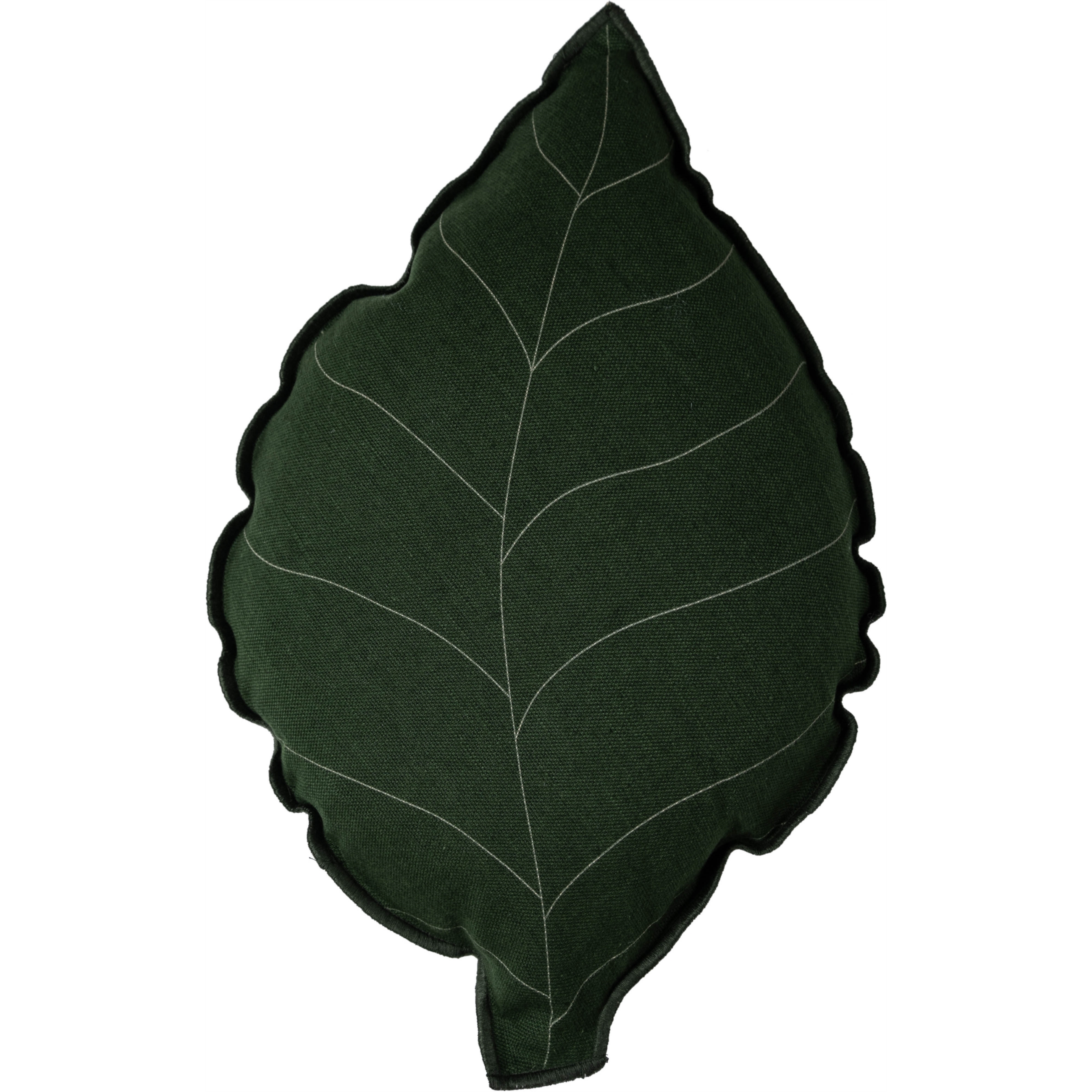 FROND YAPRAK KIRLENT YEŞİL 35X48