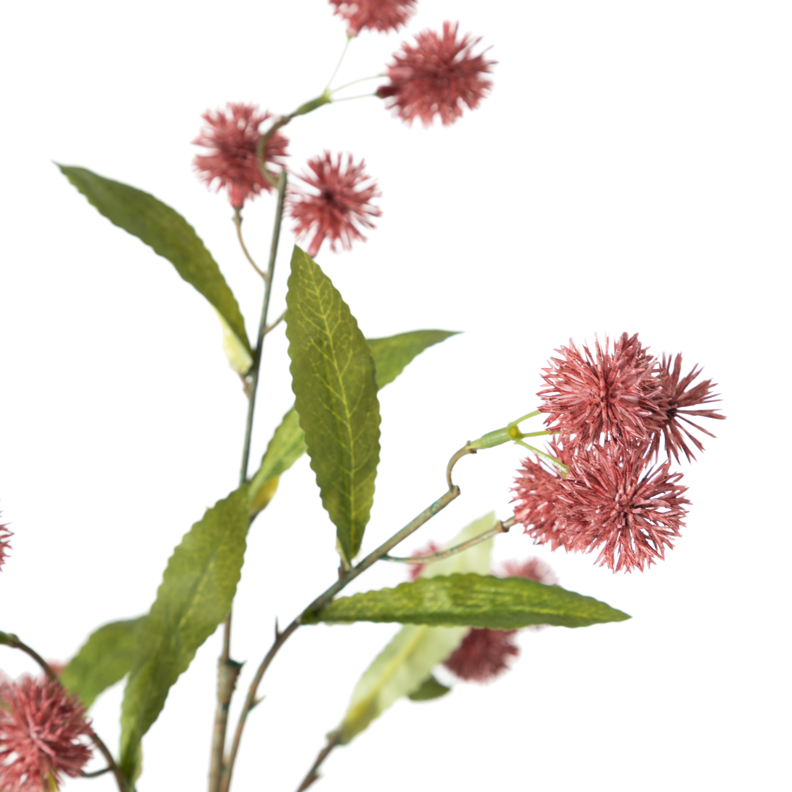 SINGLE YABAN MERSİNİ KIRMIZI 66CM