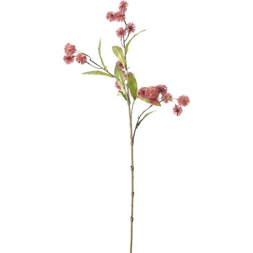  SINGLE YABAN MERSİNİ KIRMIZI 66CM