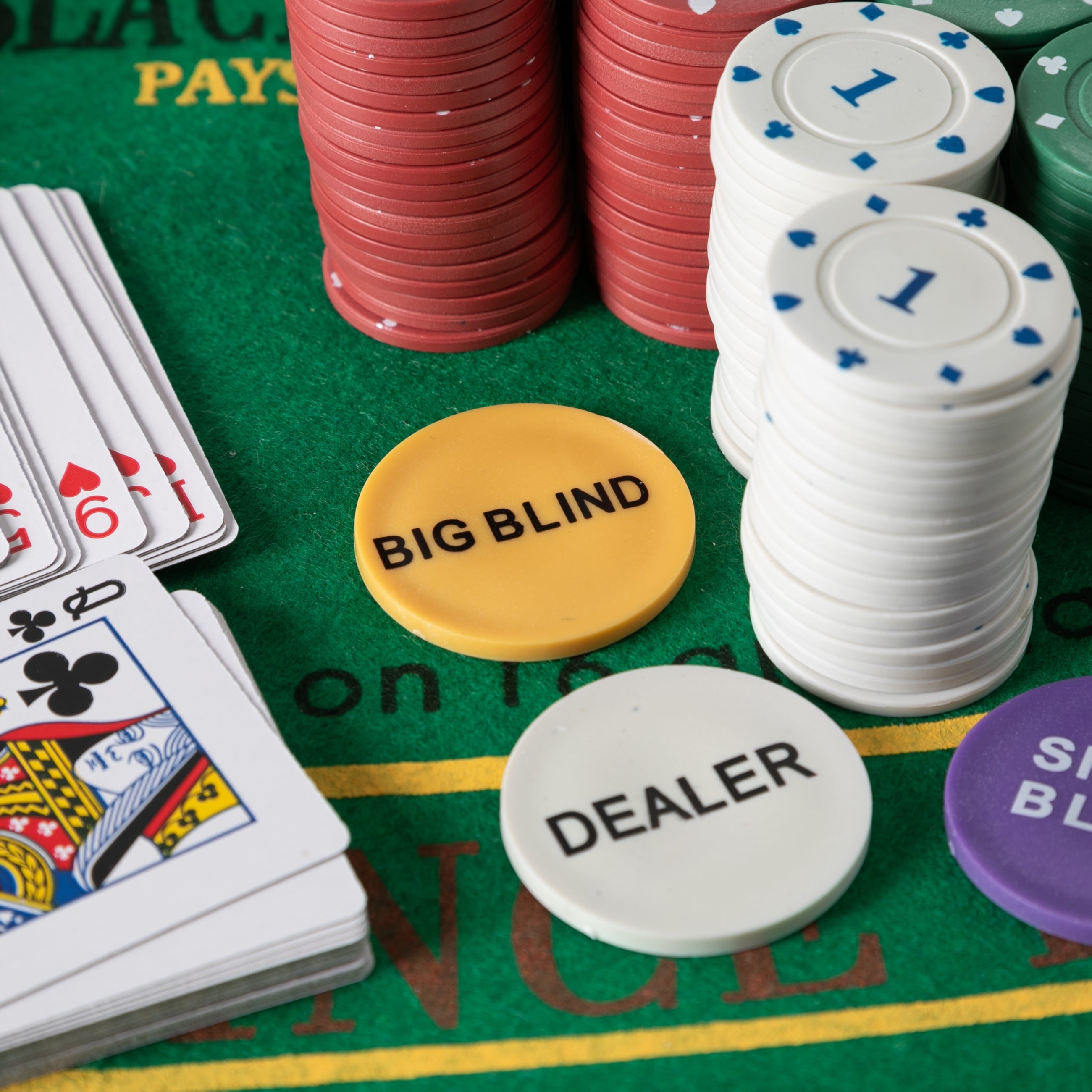 POKER CHIPS 200LÜ+İSKAMBİL OYUNU