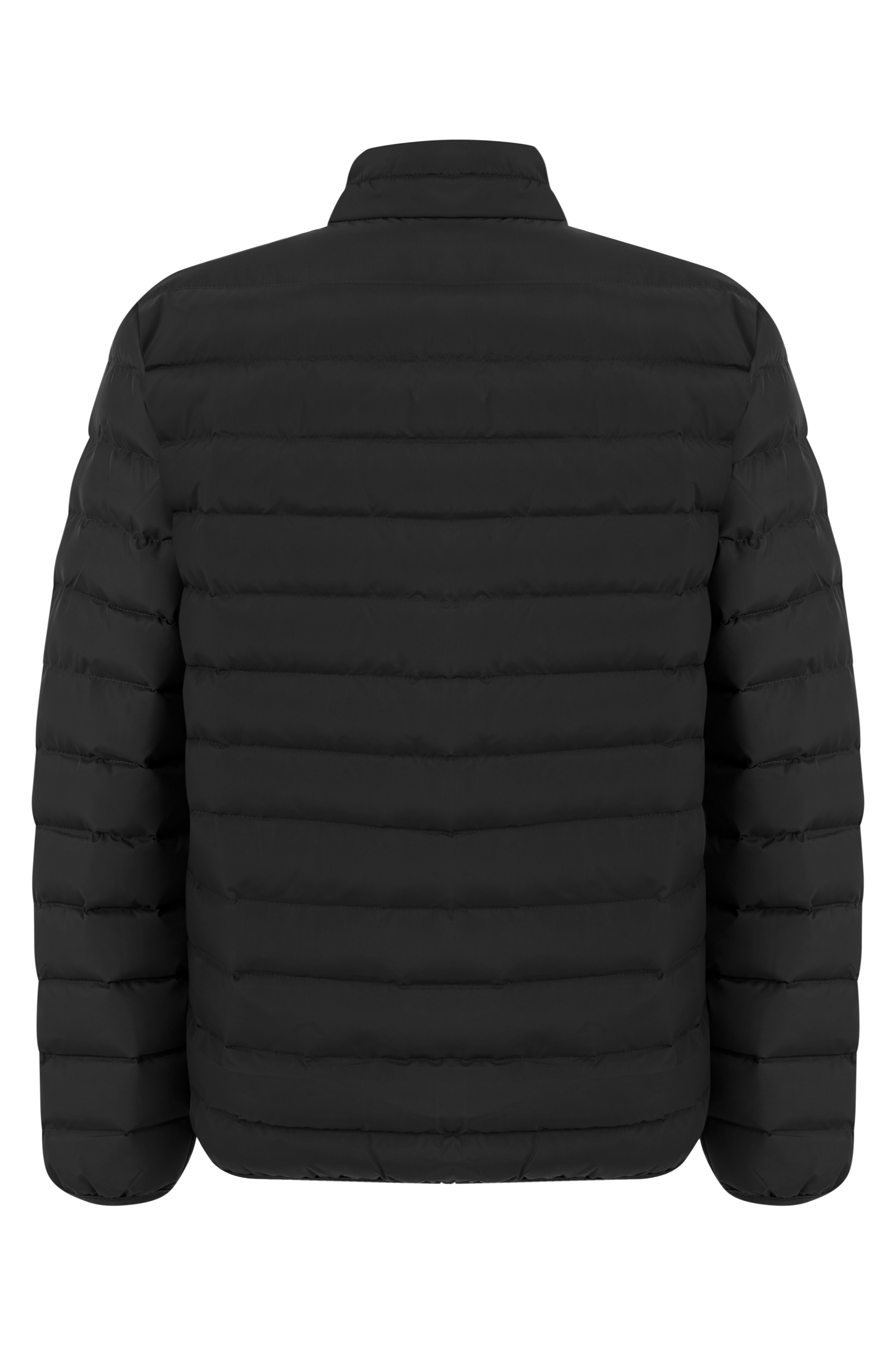 DİK YAKA KAPİTONELİ ŞİŞME MONT