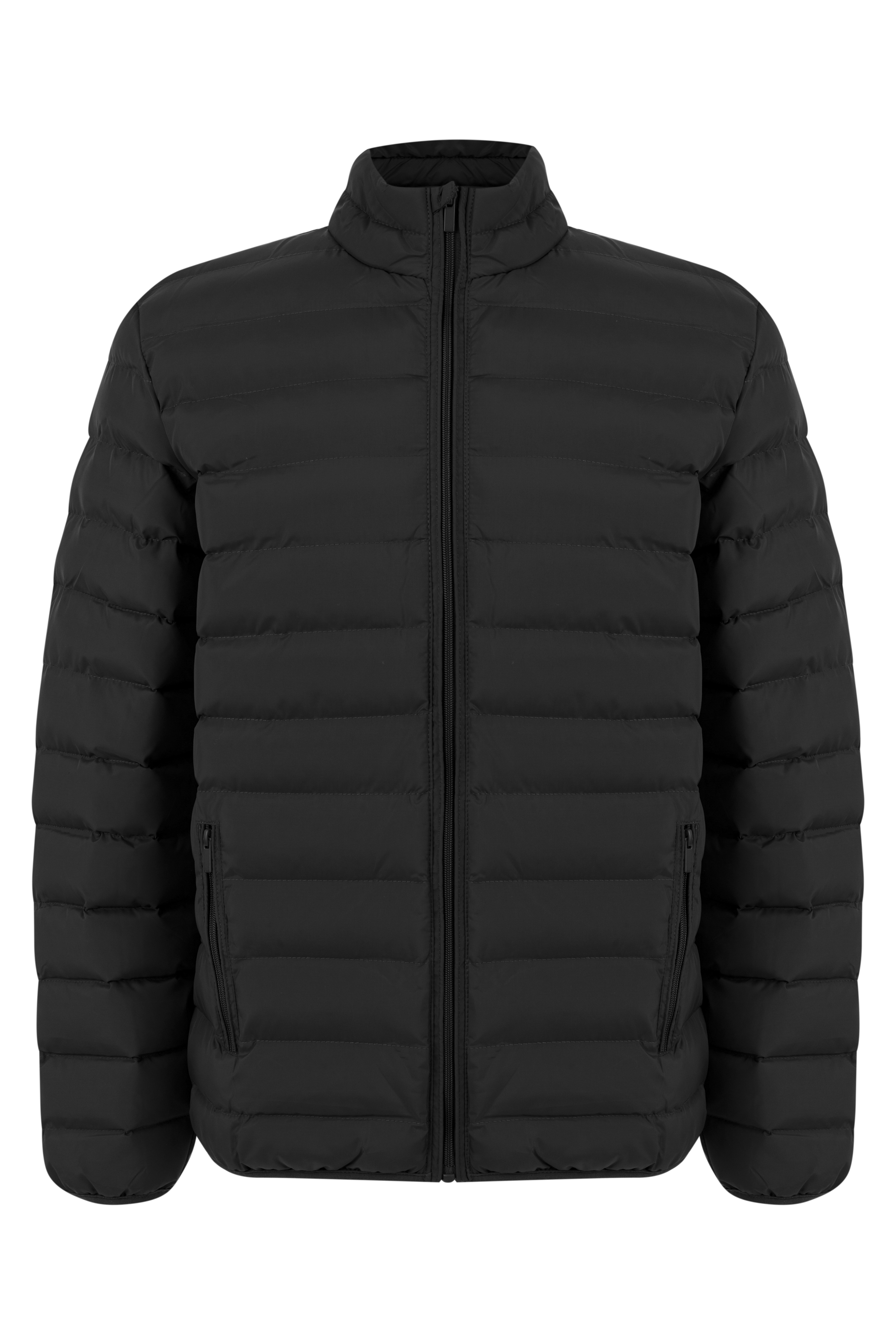 DİK YAKA KAPİTONELİ ŞİŞME MONT