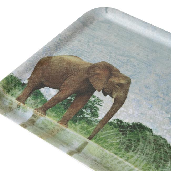 WILD KAYDIRMAZ TEPSİ 24CM-ELEPHANT | mudo
