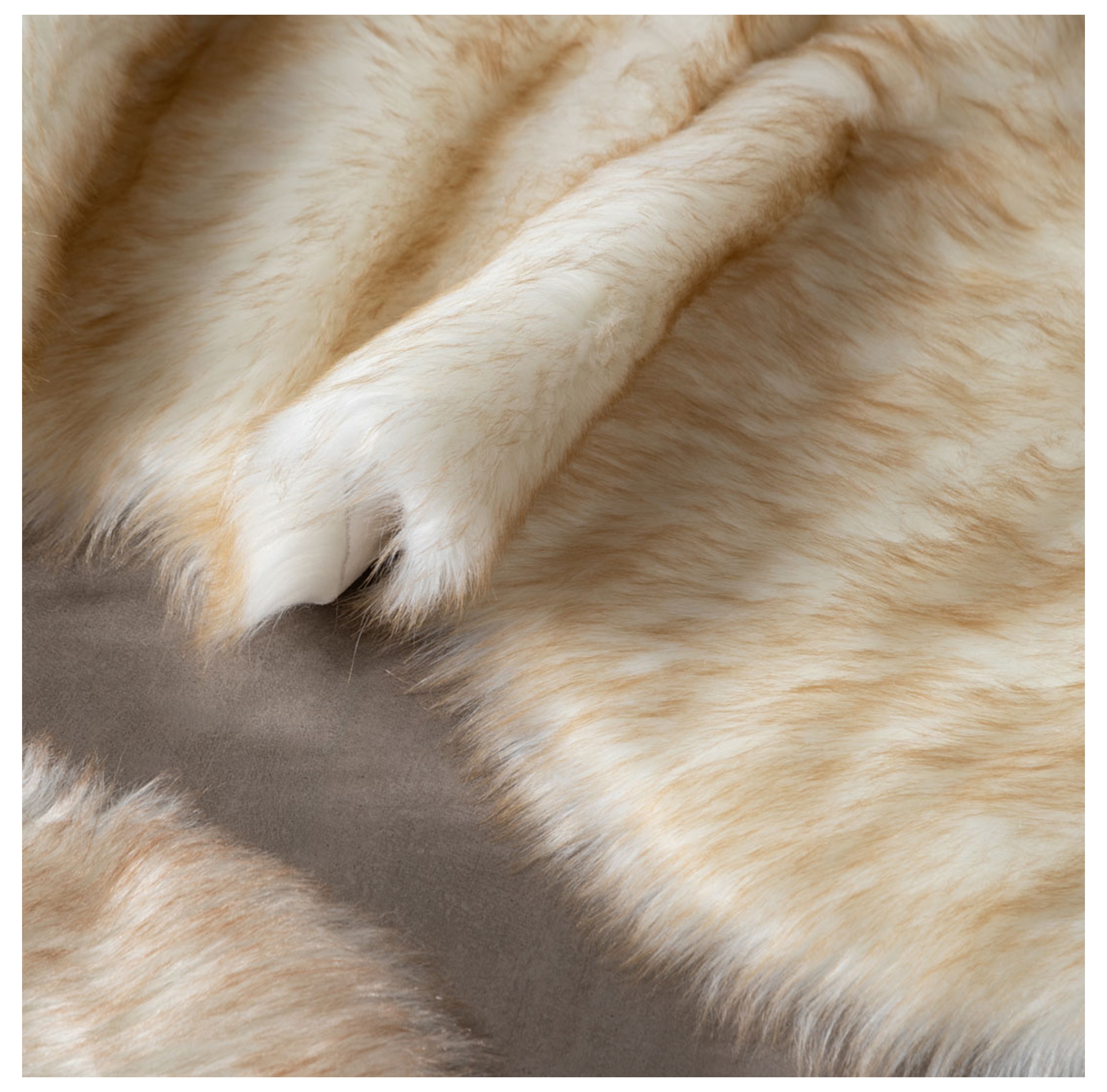 MARCIO POST BEJ KIRÇILLI 100X150