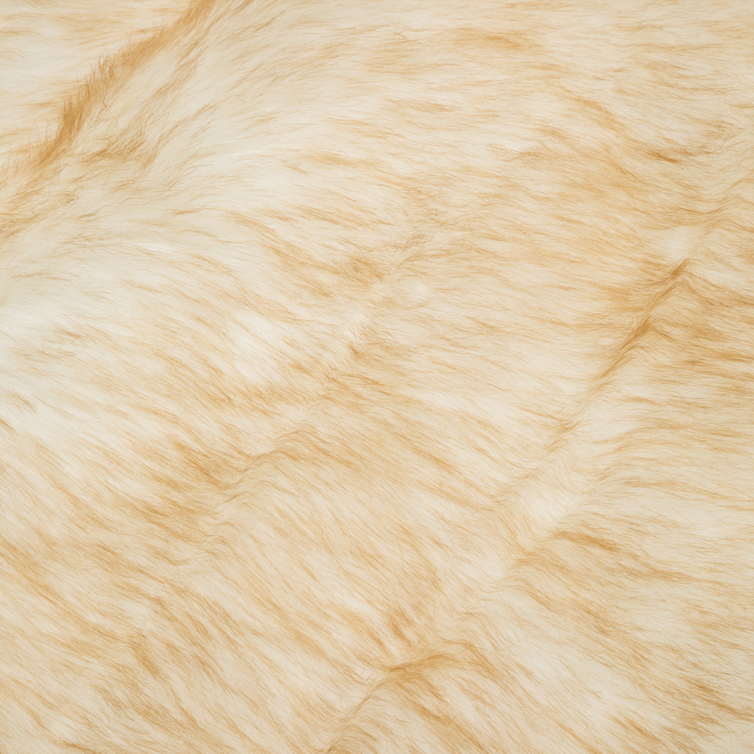 MARCIO POST BEJ KIRÇILLI 60x180