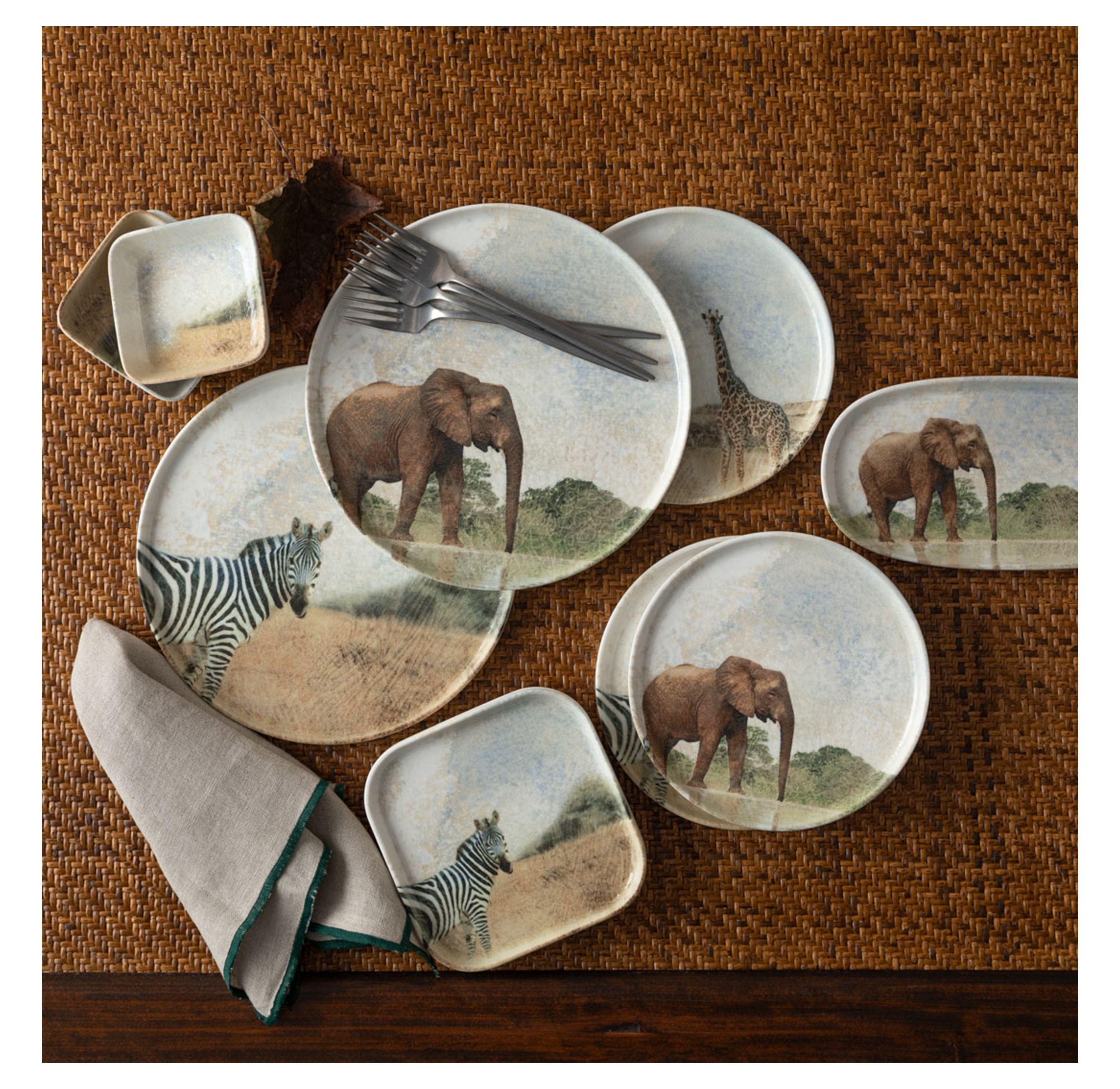 WILD KARE KASE SETİ 10CM-12Lİ