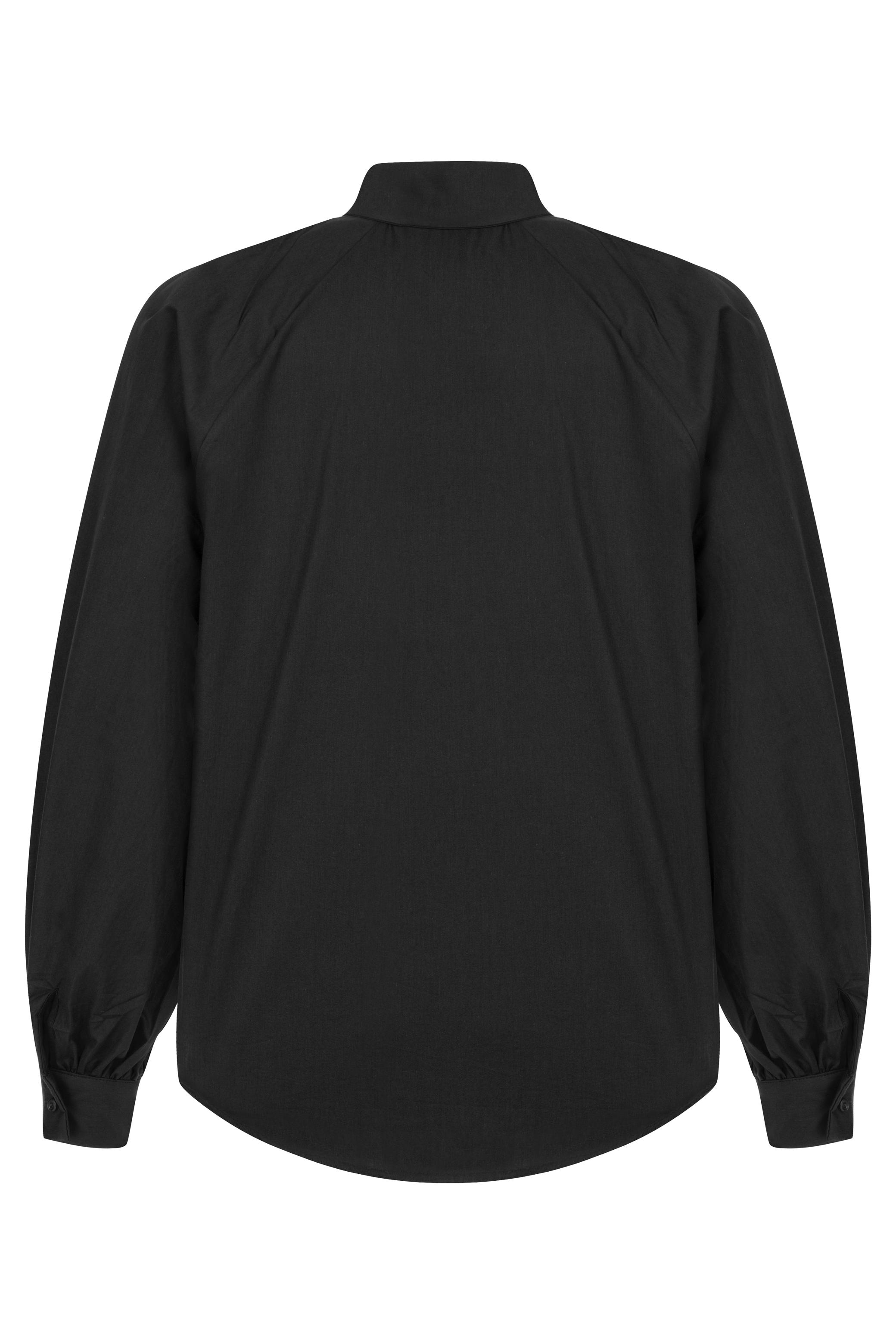 PAMUKLU REGULAR FIT GÖMLEK