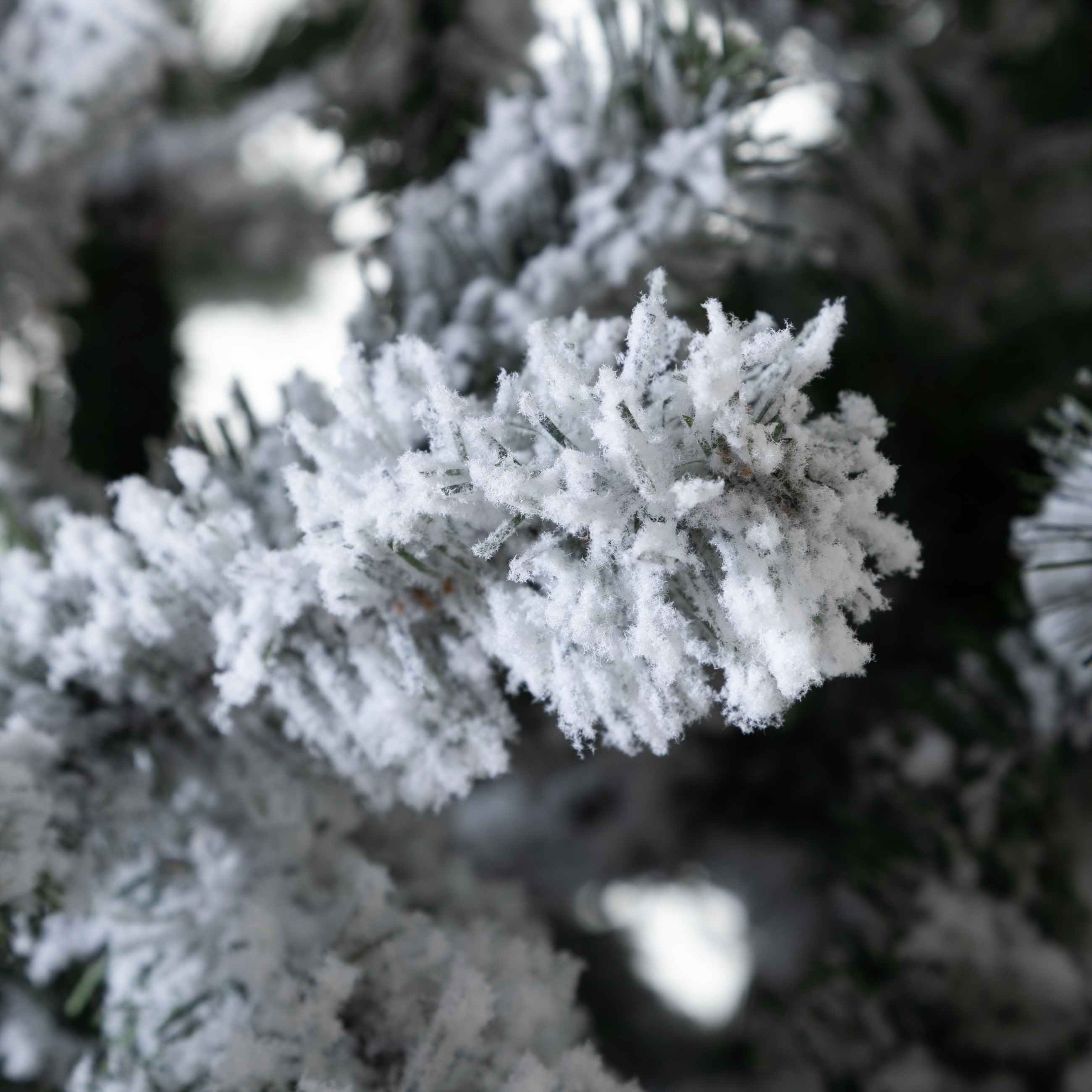 SNOWY ÇAM AĞACI 250 CM
