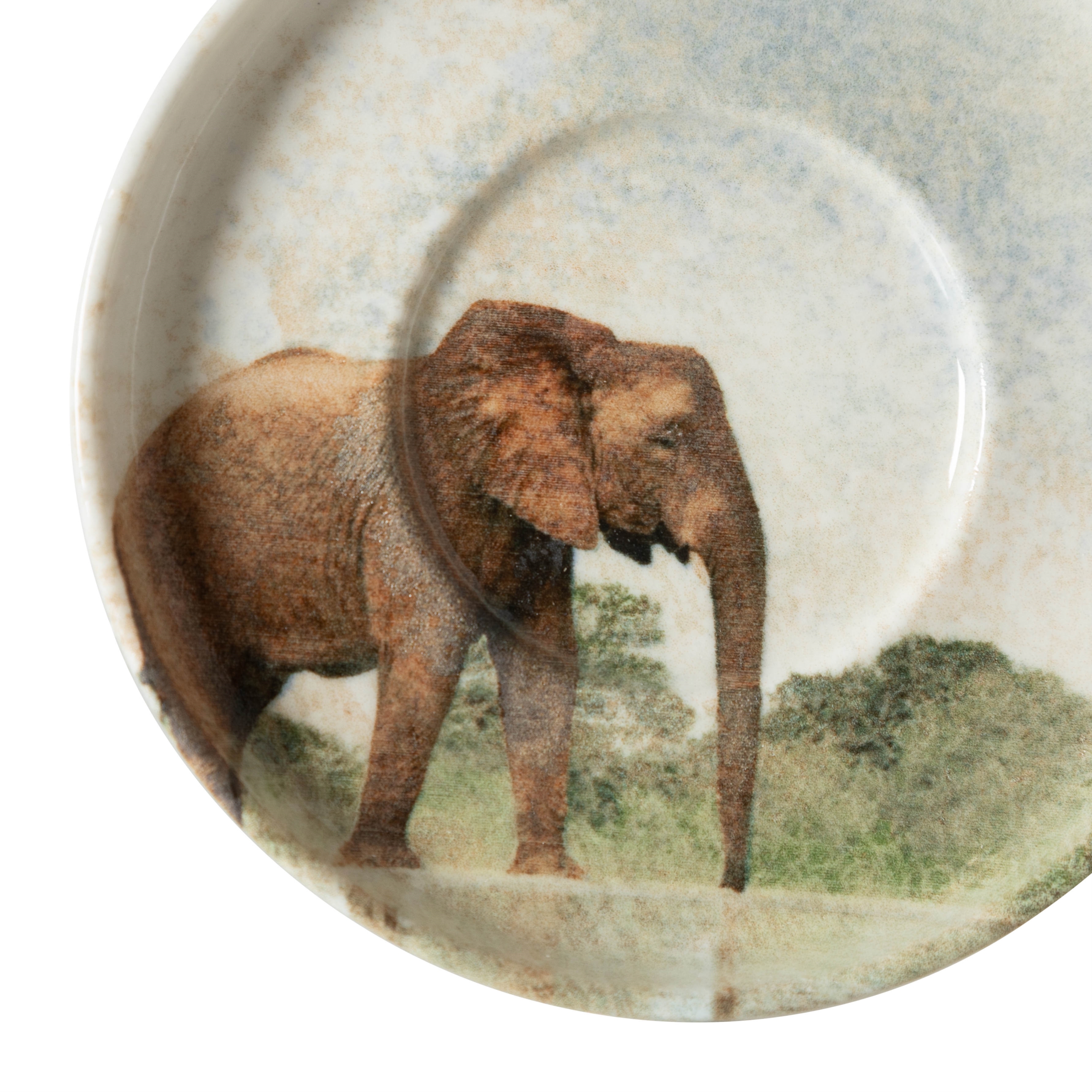 WILD ÇAY TABAĞI SETİ-6LI