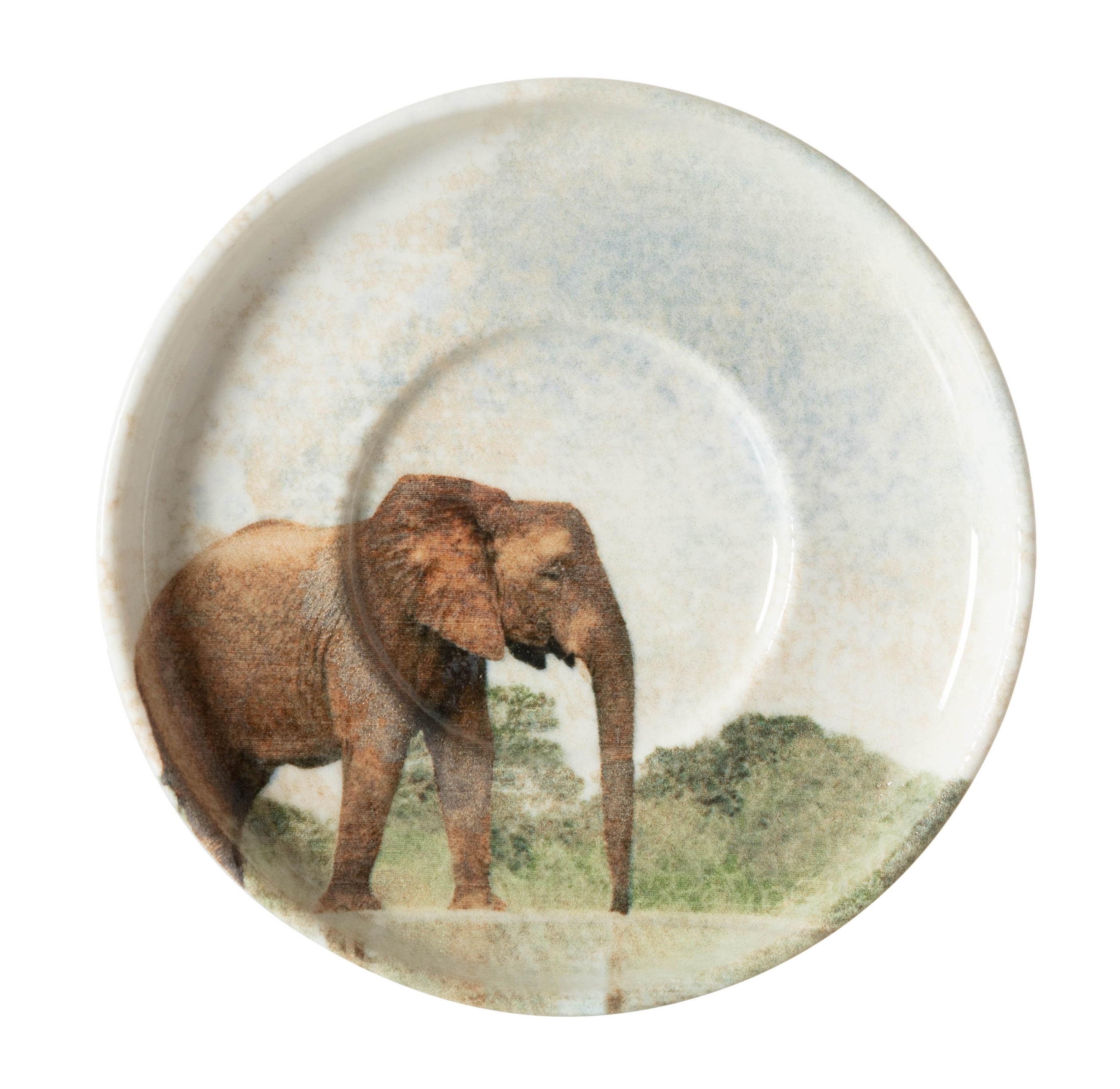 WILD ÇAY TABAĞI SETİ-6LI