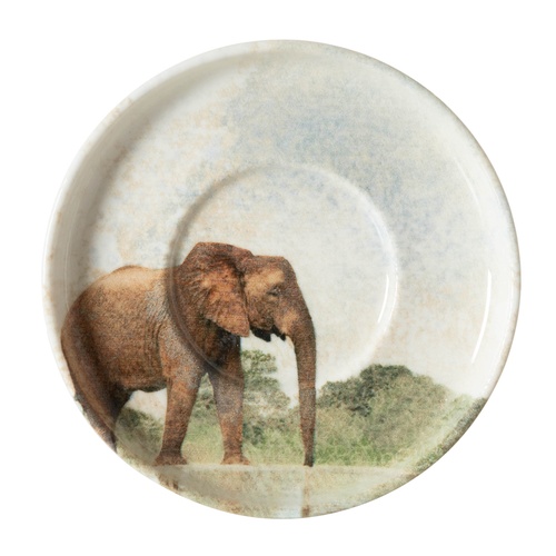  WILD ÇAY TABAĞI SETİ-6LI