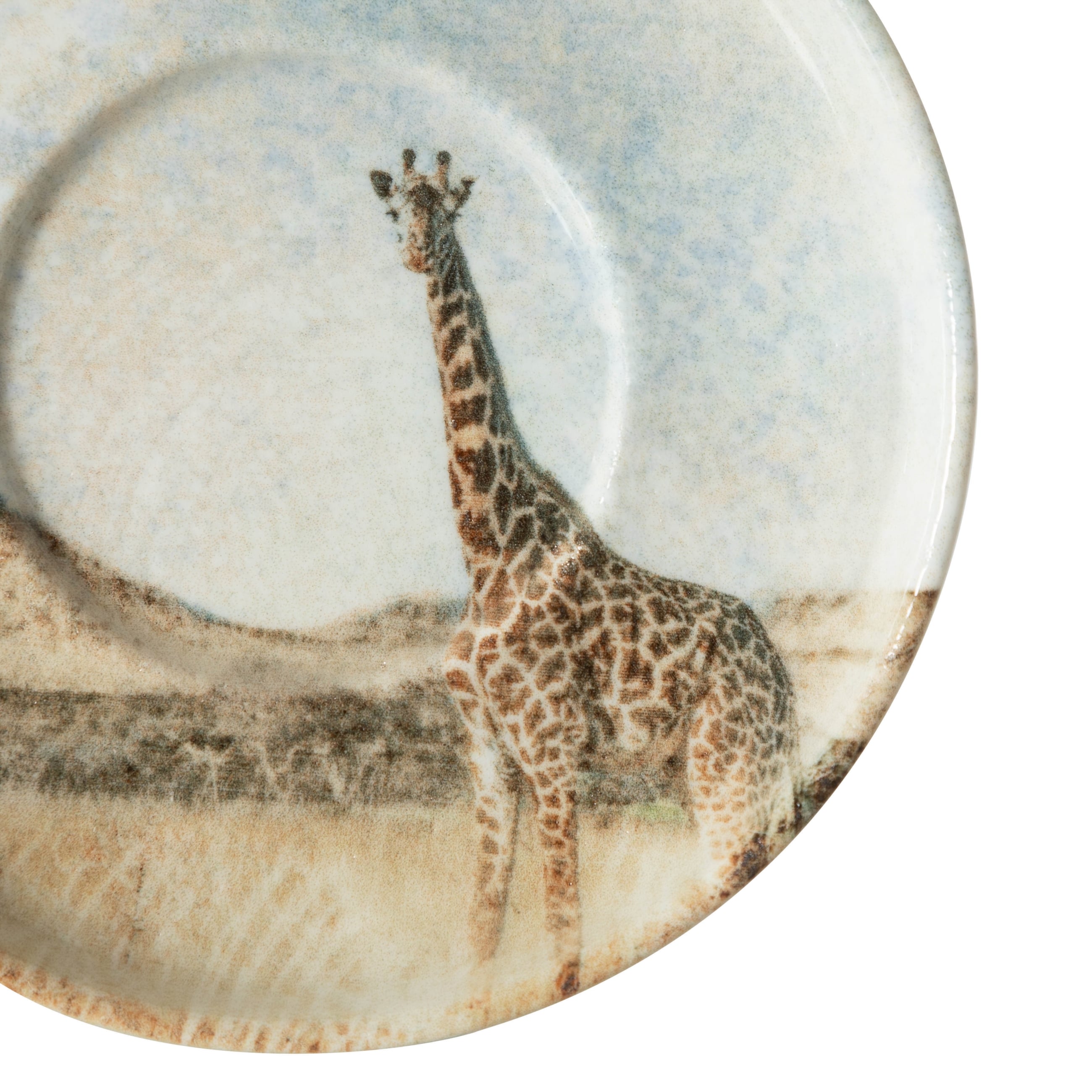 WILD ÇAY TABAĞI SETİ-6LI