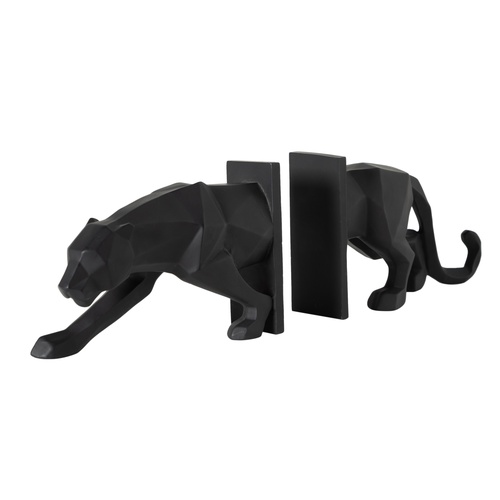  KAPLAN KİTAP DESTEĞİ