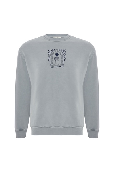 Mudo Erkek Gri Mavi Mitolojik Baskılı Oversize Sweatshirt