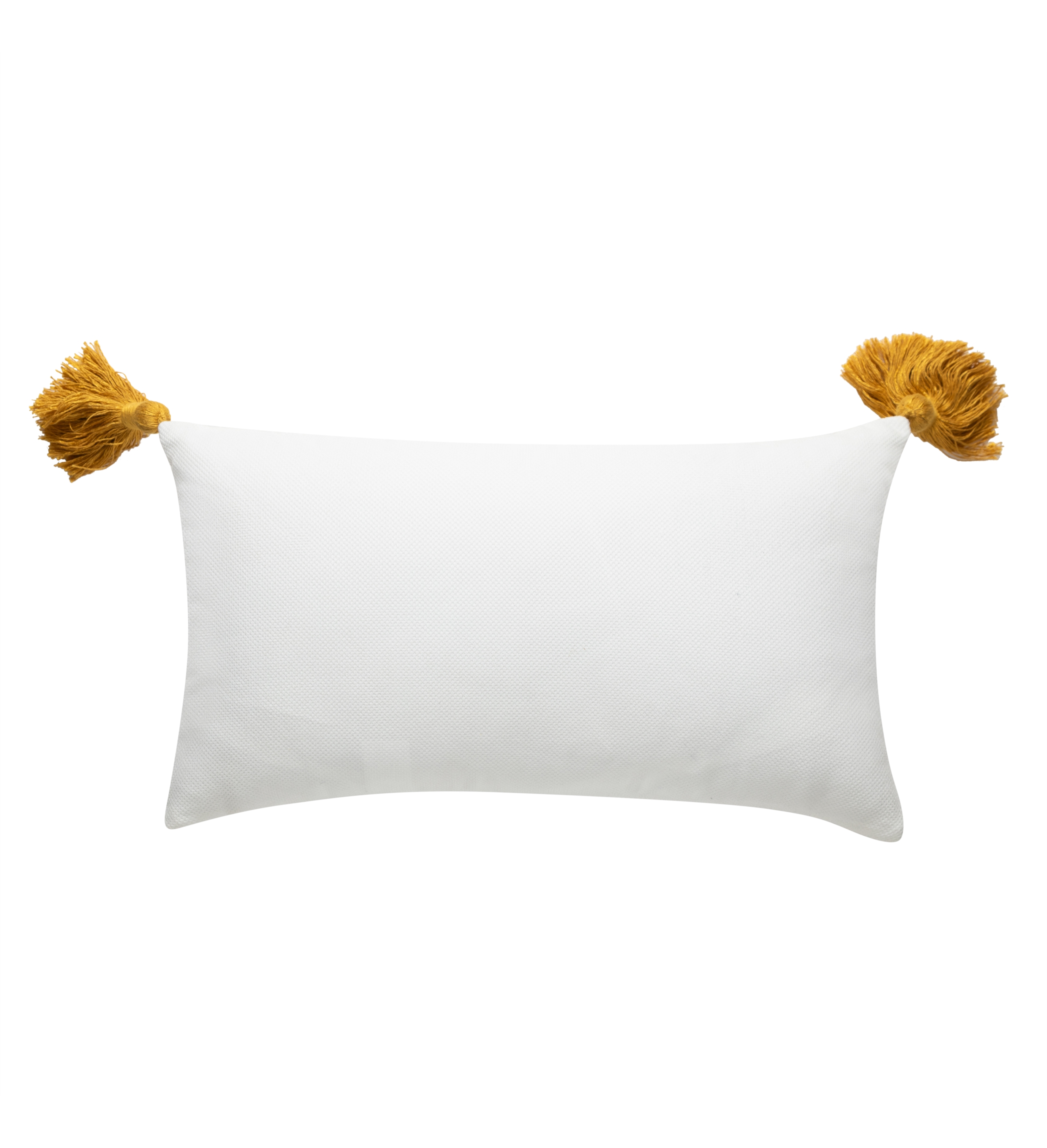 MARİN MULTI FISH KIRLENT RENKLİ 30X50