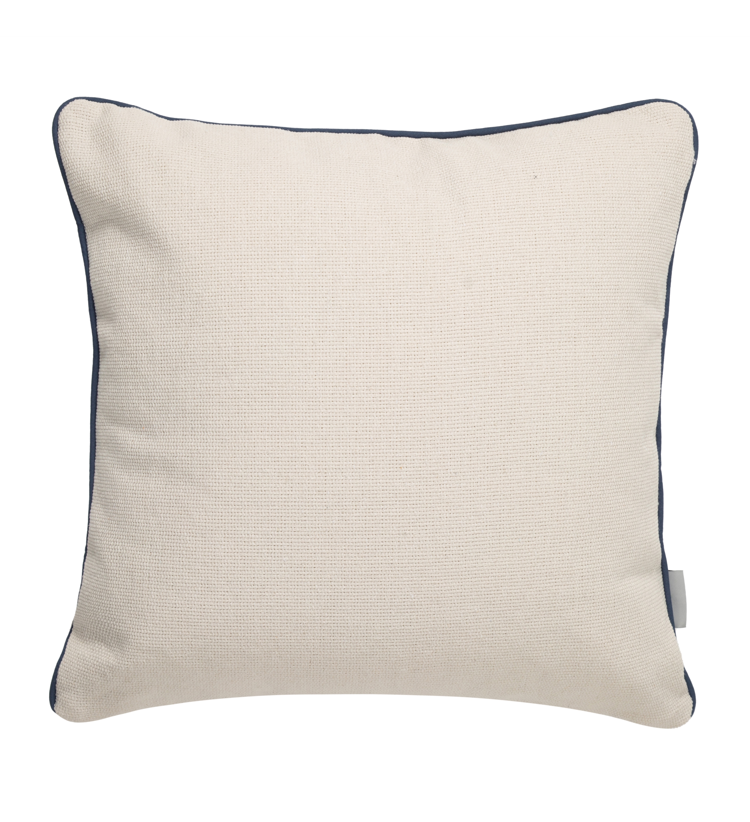 BLUE FISHES KIRLENT LACİVERT 45X45