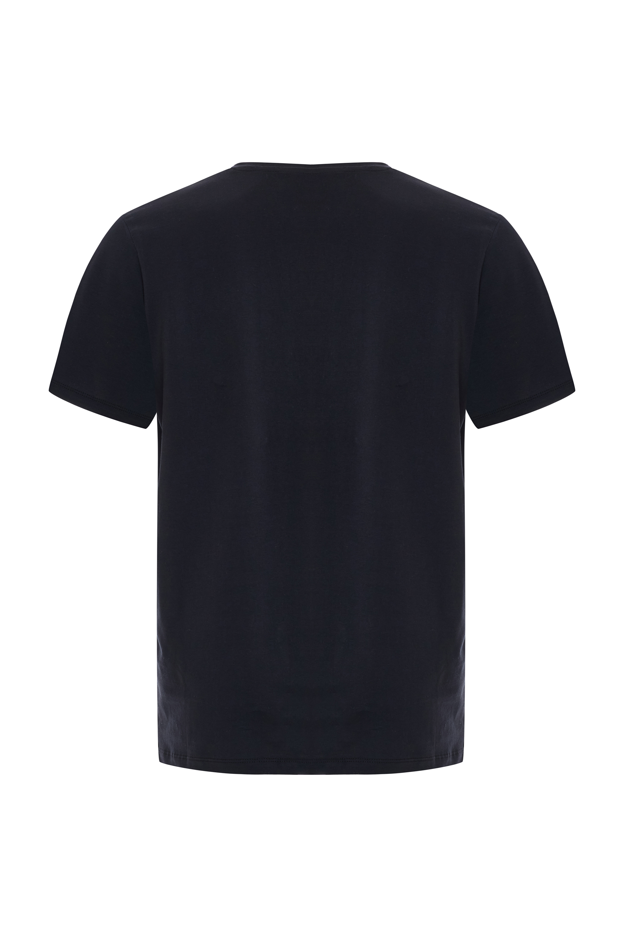 REGULAR FIT V YAKA T-SHIRT