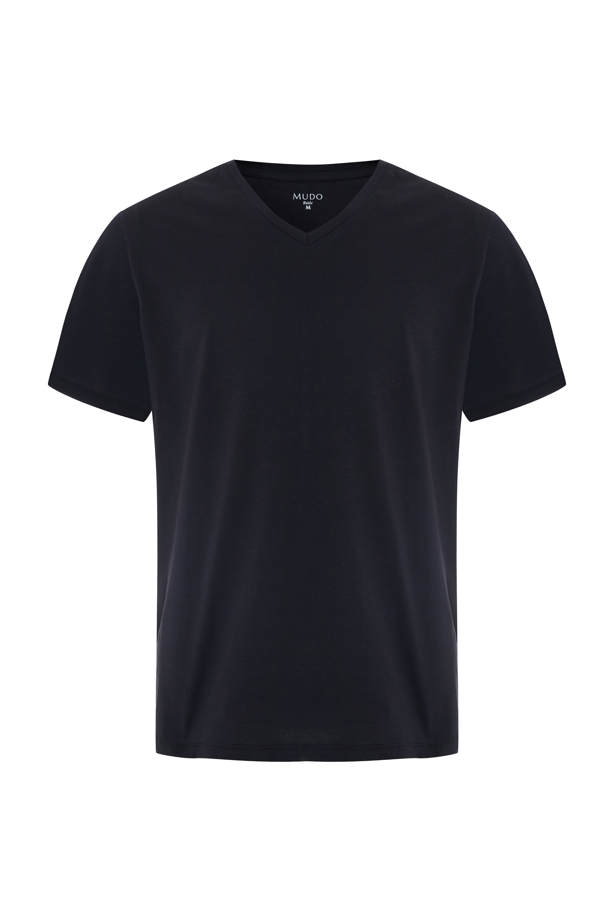 REGULAR FIT V YAKA T-SHIRT