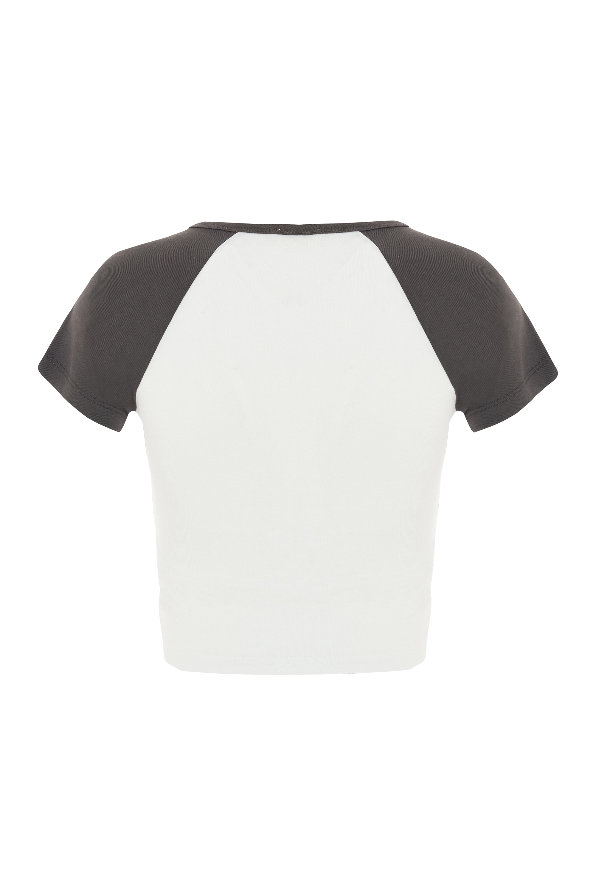 Kadın Ekru Renk Bloklu Crop T-Shirt
