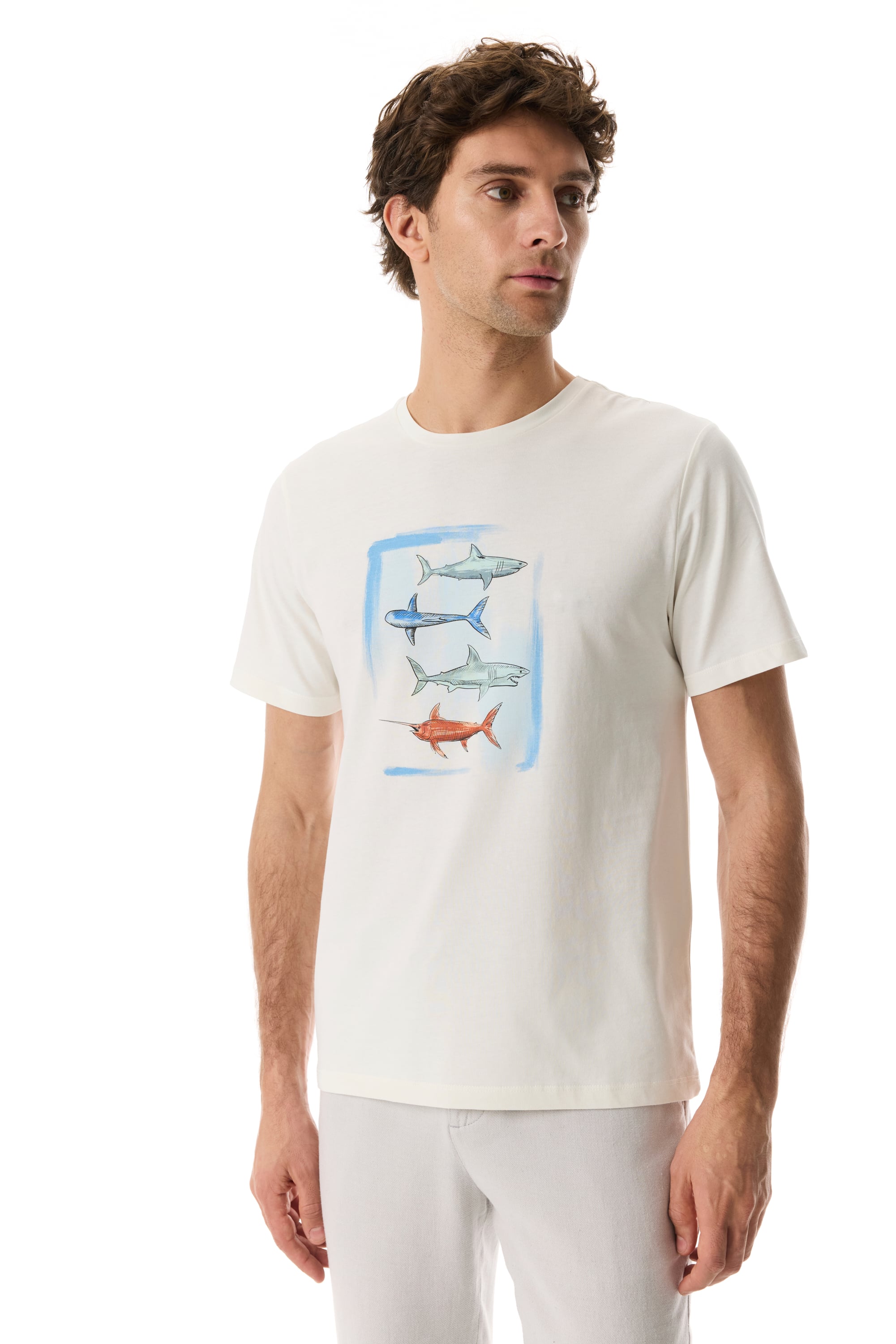 BASKILI BİSİKLET YAKA KISA KOLLU T-SHIRT