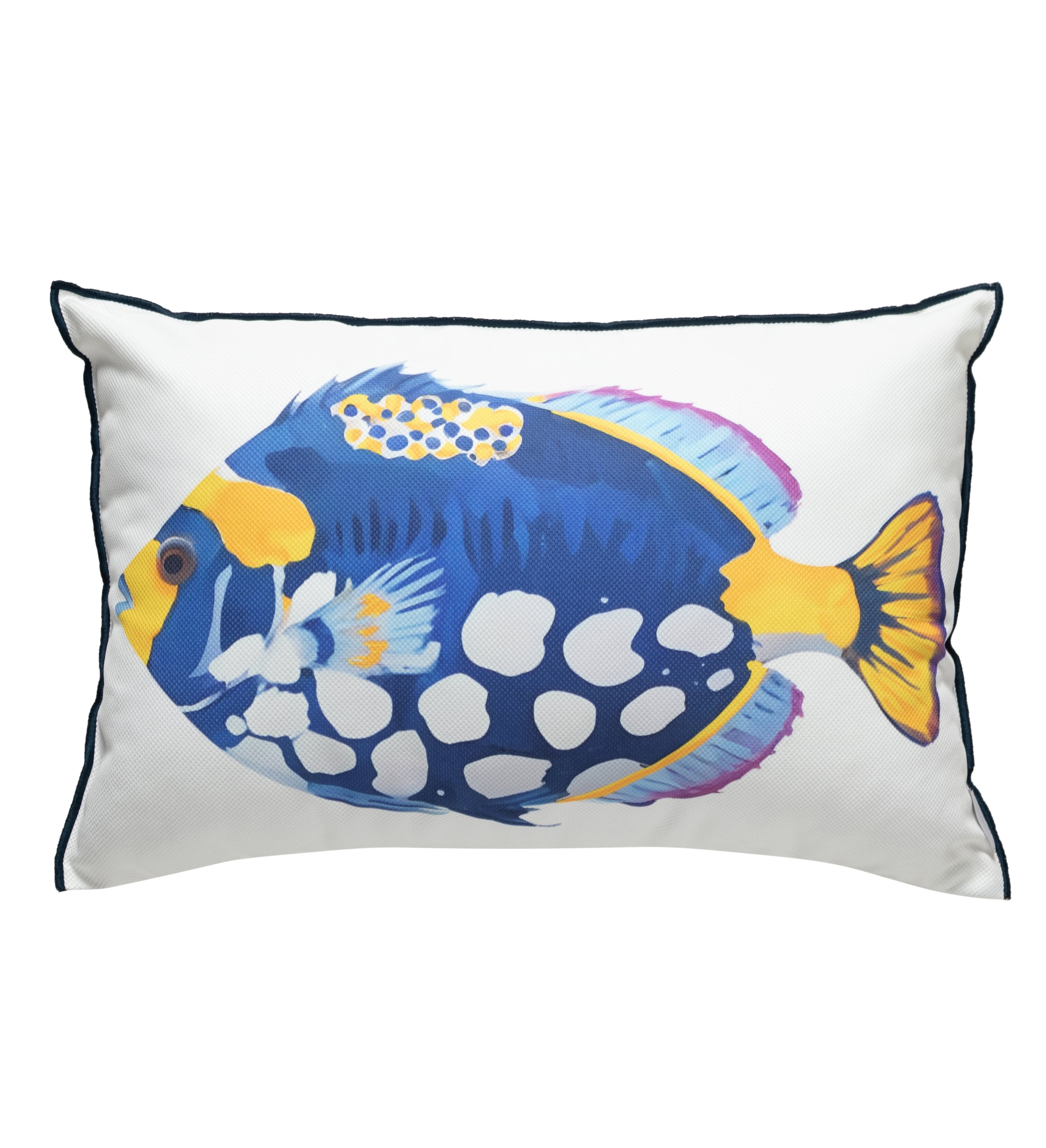 MARİN BOLD FISH KIRLENT RENKLİ 40X60