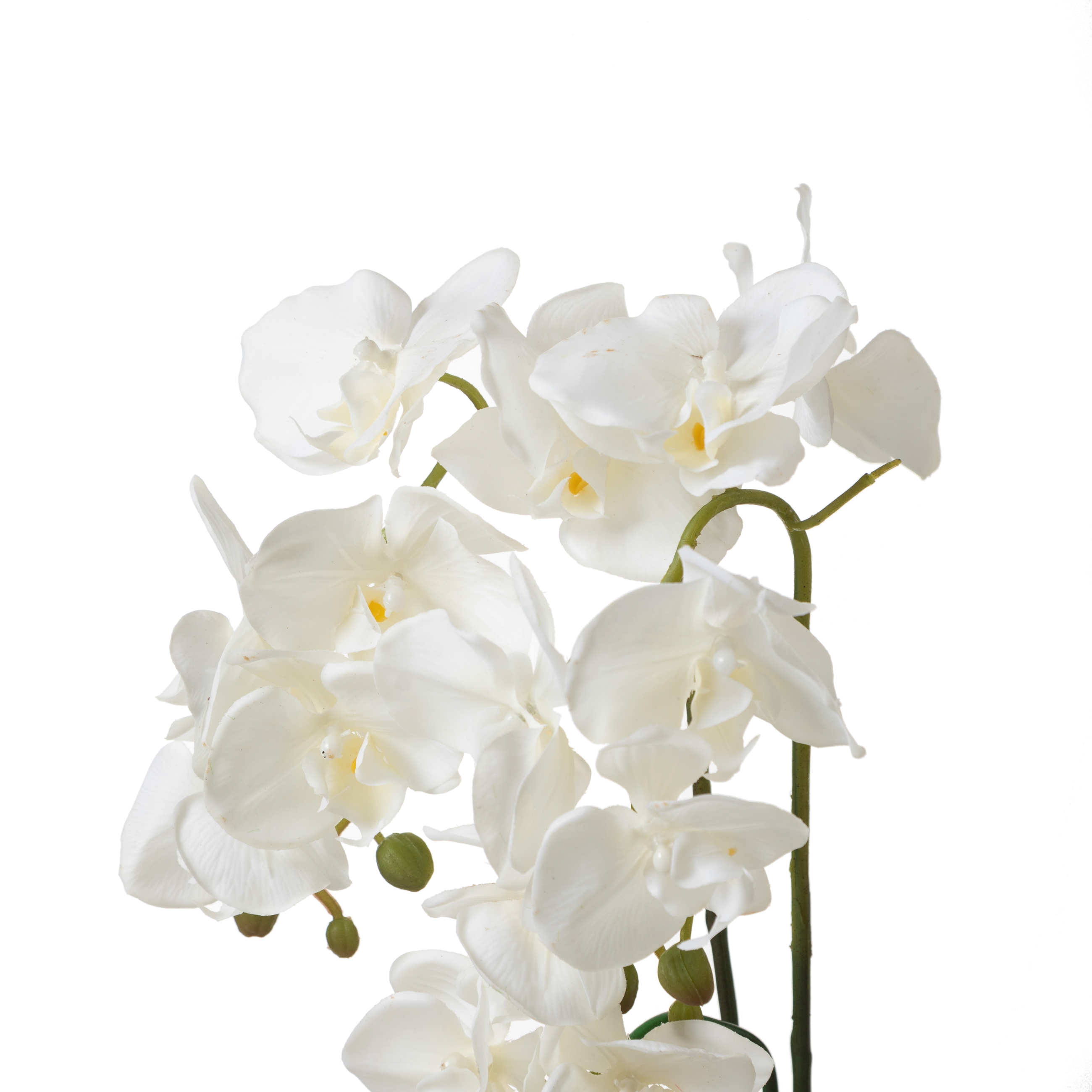 VANDA SAKSILI ÇİÇEK 24X15X52CM