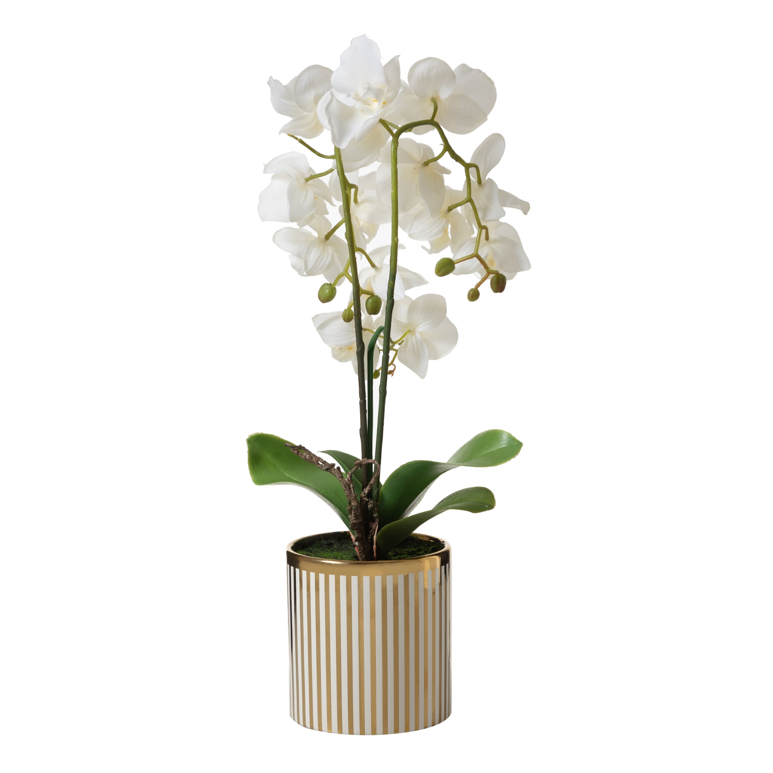 VANDA SAKSILI ÇİÇEK 24X15X52CM