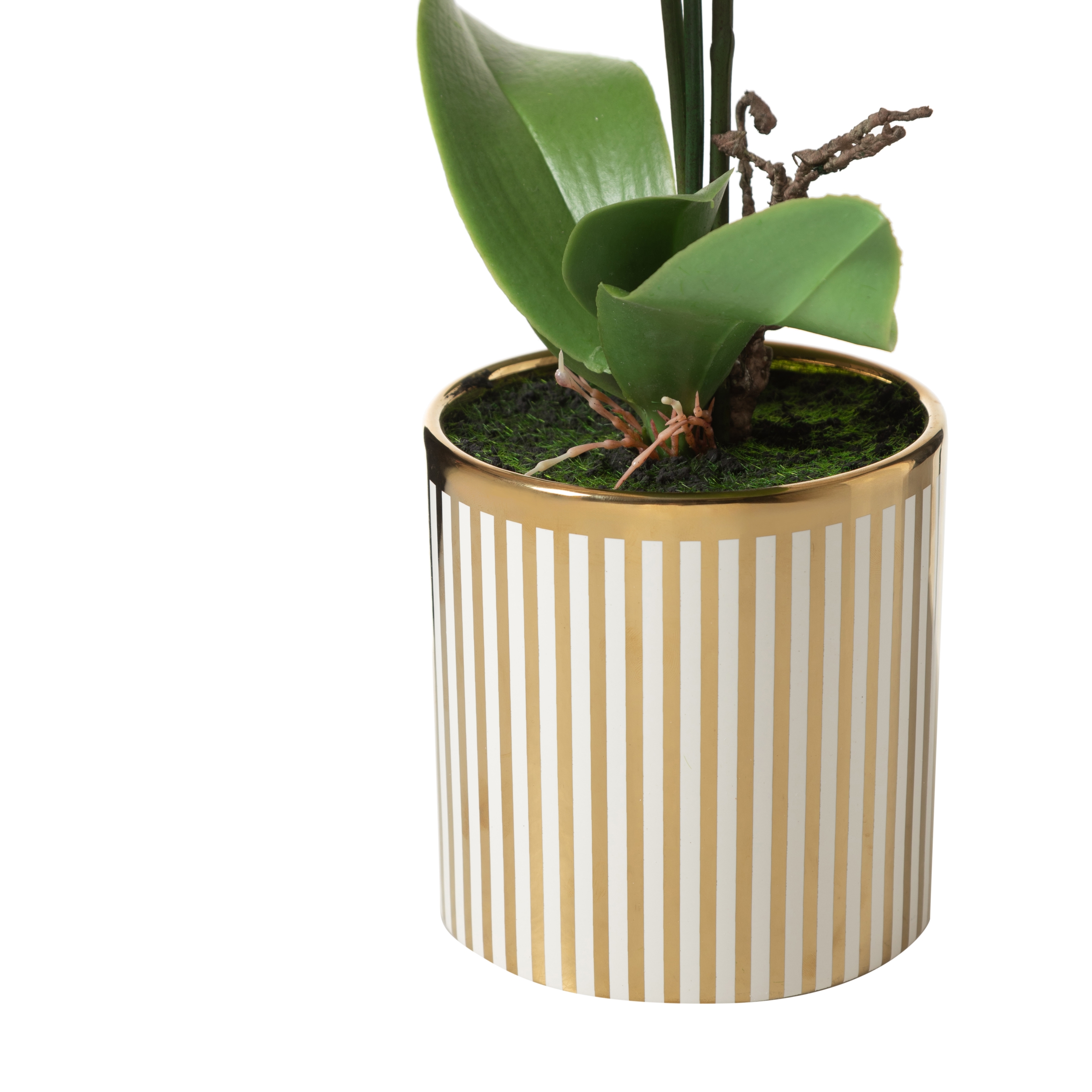 VANDA SAKSILI ÇİÇEK 24X15X52CM