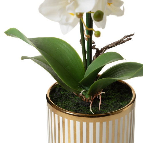  VANDA SAKSILI ÇİÇEK 24X15X52CM