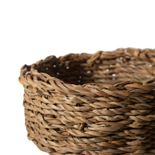  SADIE HASIR DÜZENLEYİCİ 20X20X8