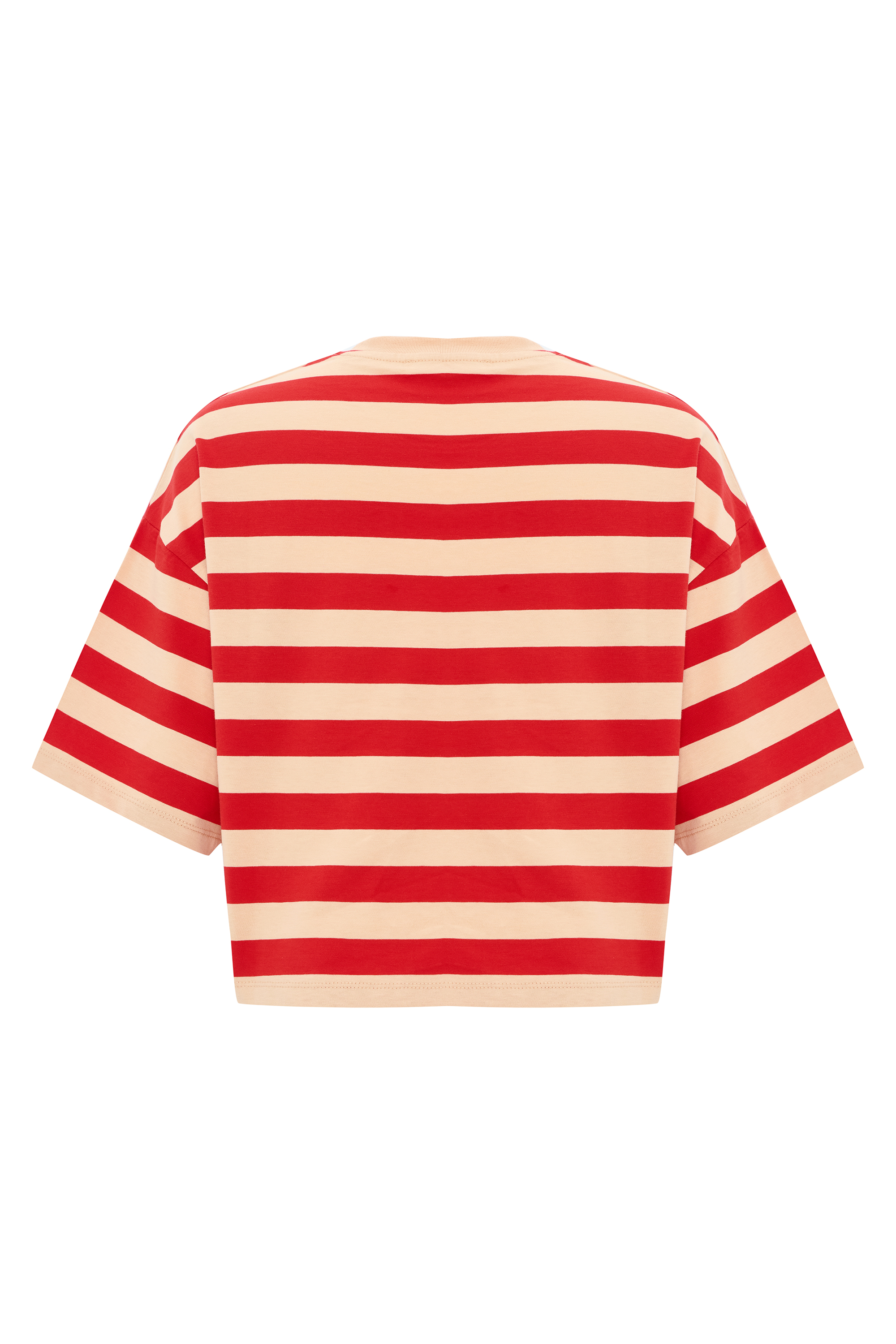 LOOSE FIT ÇİZGİLİ NAKIŞLI BİSİKLET YAKA T-SHIRT