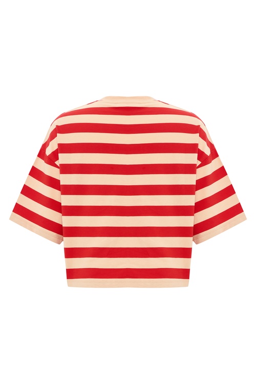  LOOSE FIT ÇİZGİLİ NAKIŞLI BİSİKLET YAKA T-SHIRT