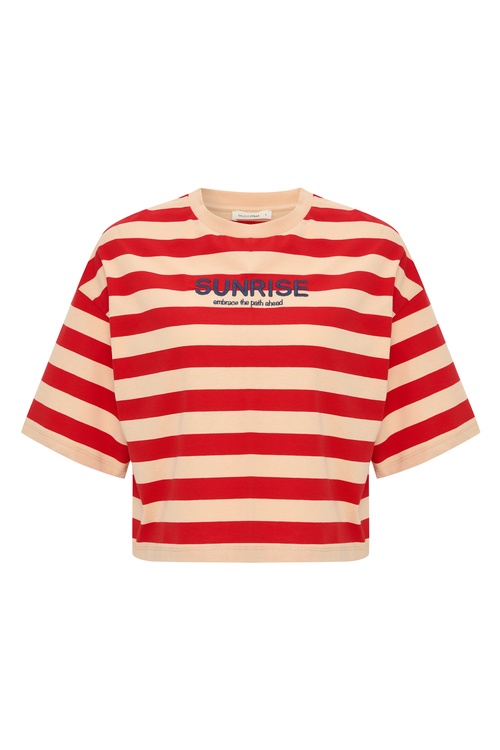  LOOSE FIT ÇİZGİLİ NAKIŞLI BİSİKLET YAKA T-SHIRT