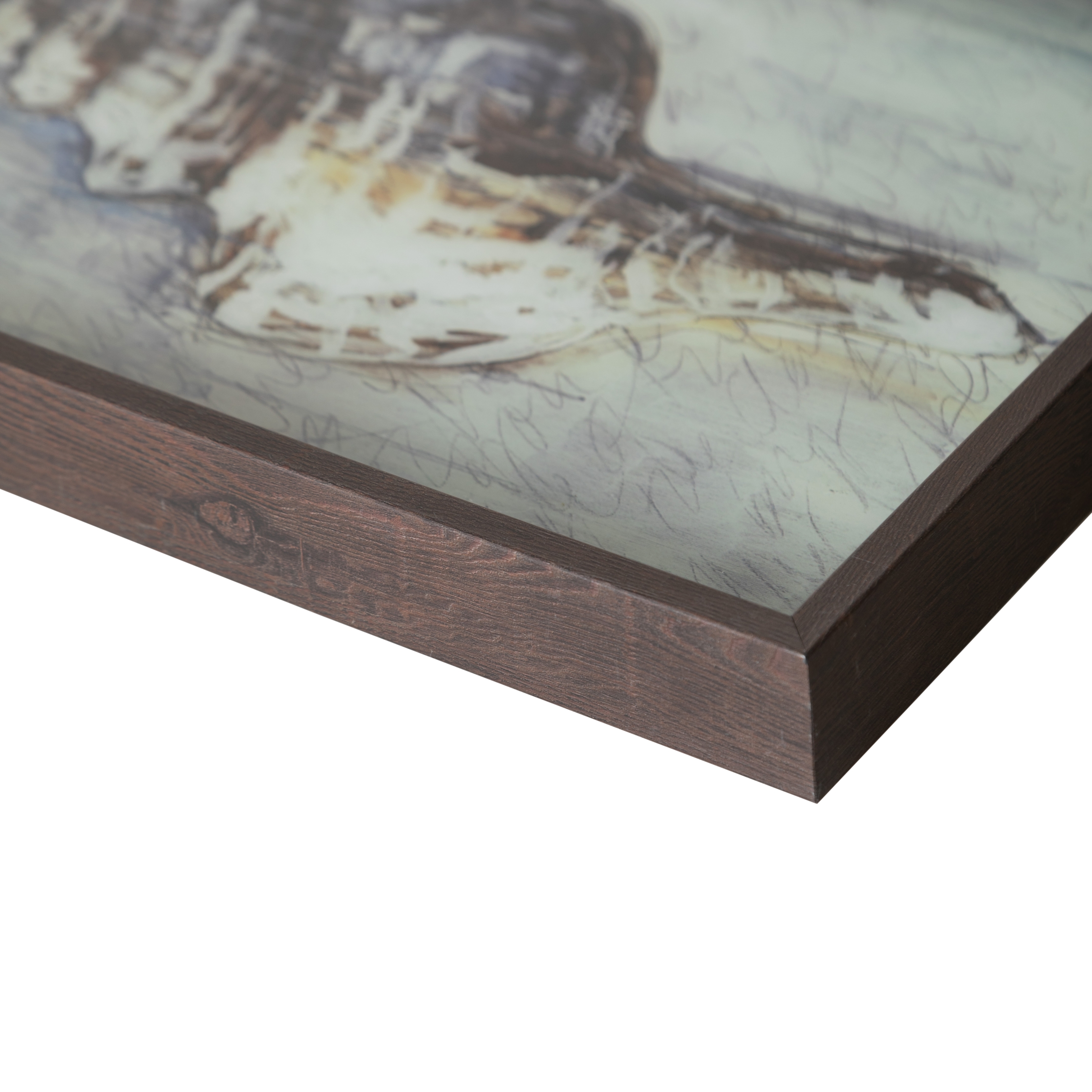 CORAL TEPSİ 31X42CM