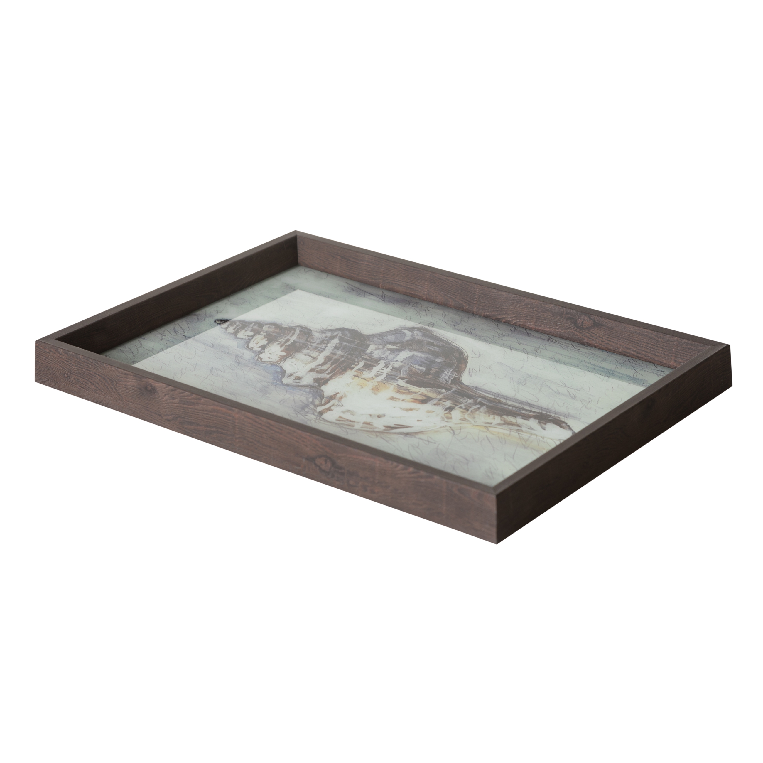 CORAL TEPSİ 31X42CM