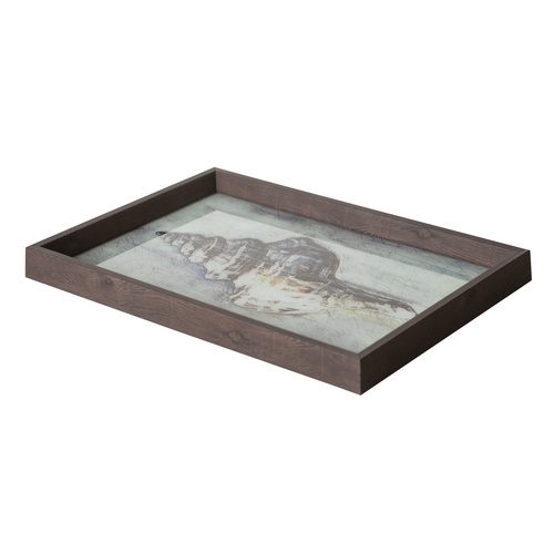  CORAL TEPSİ 31X42CM