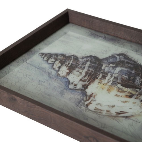  CORAL TEPSİ 31X42CM