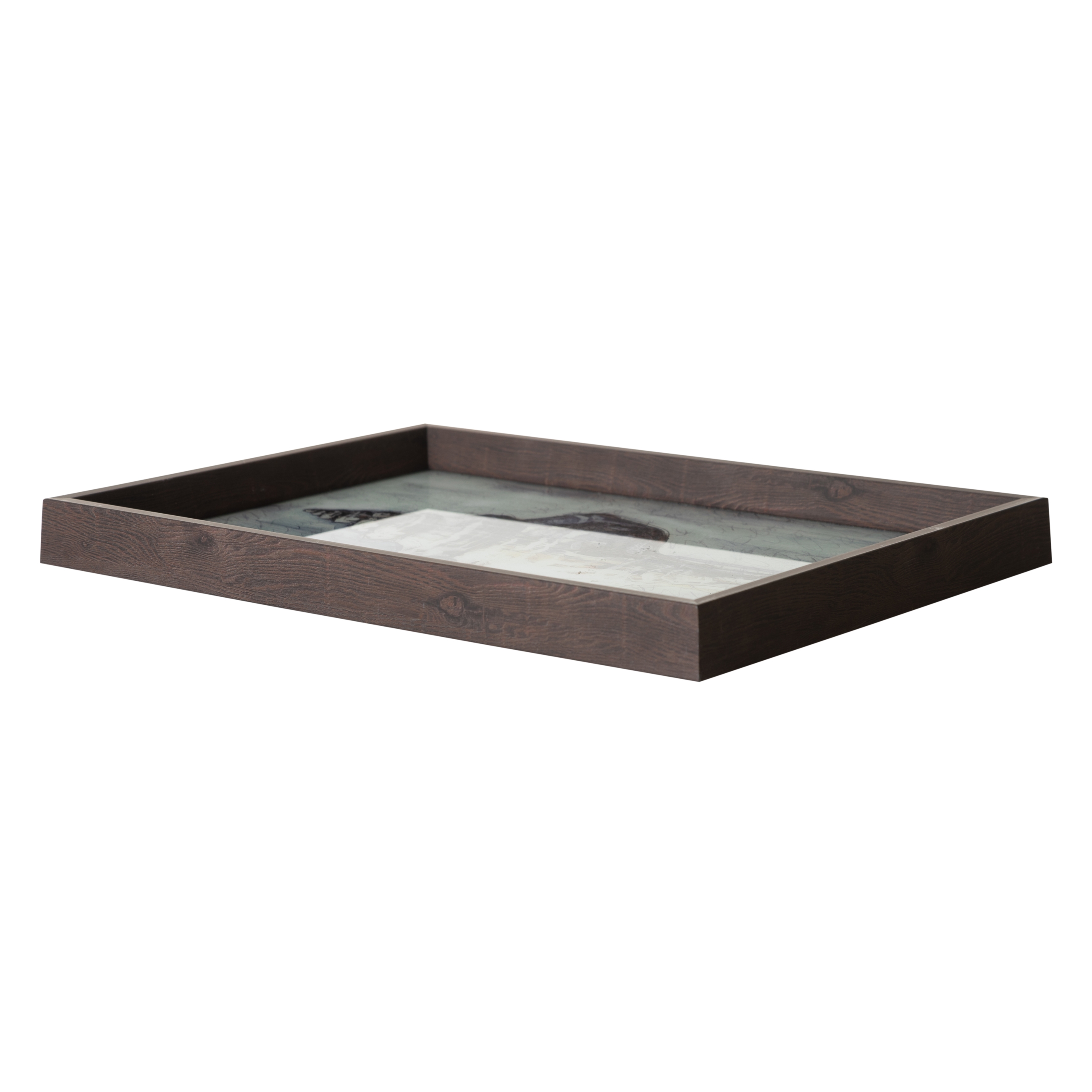 CORAL TEPSİ 31X42CM