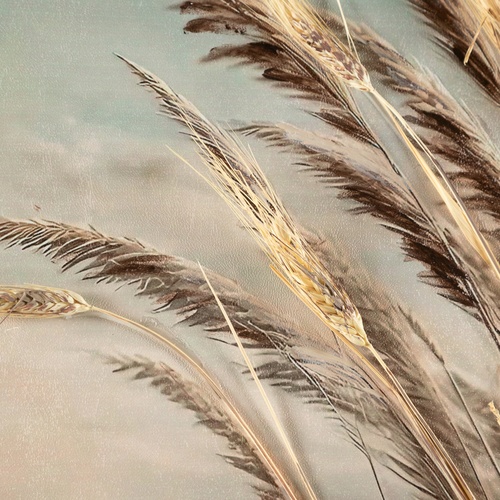  CREEK YAĞLIBOYA TABLO 100X100CM