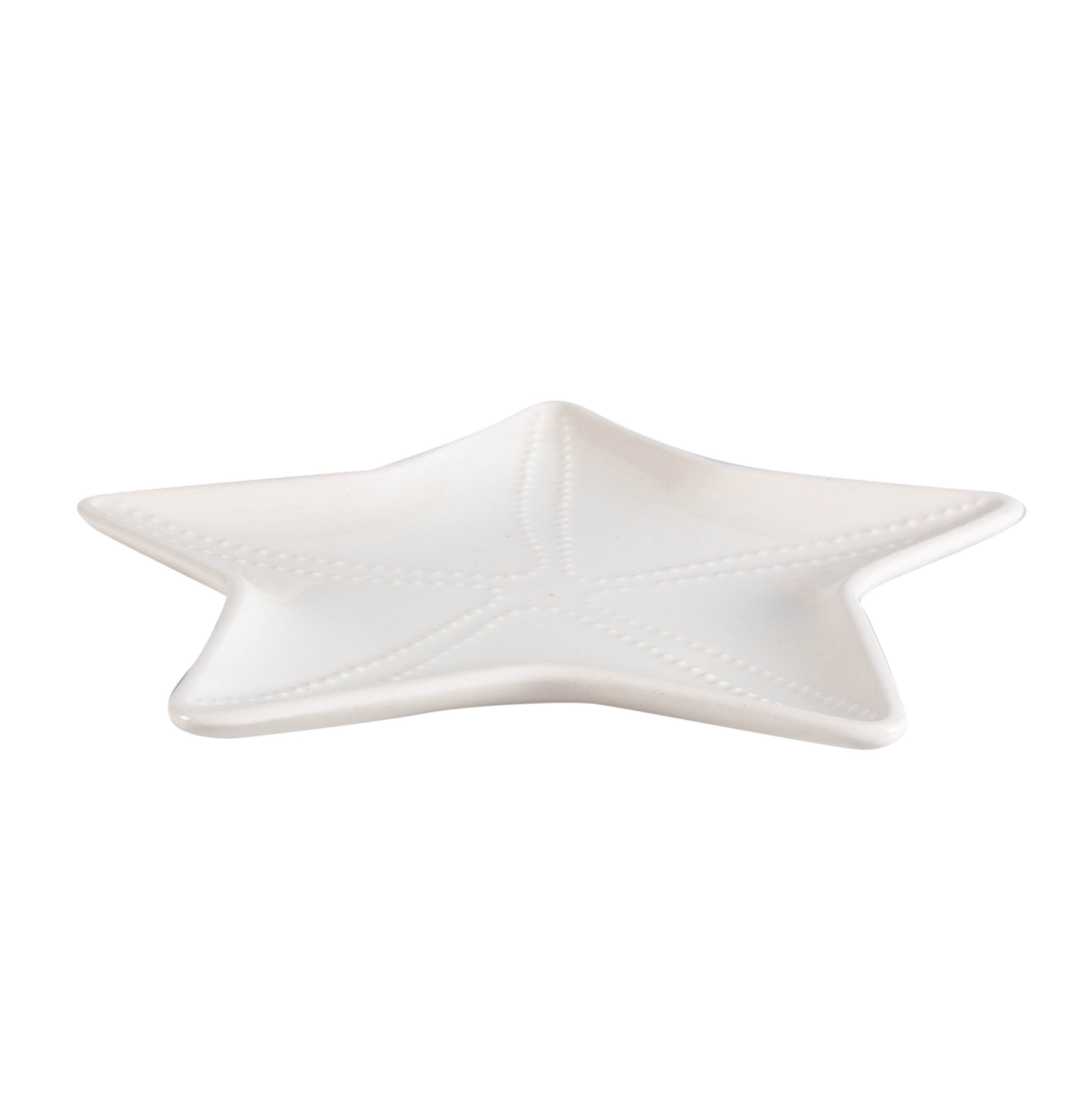 STARFISH SUNUM TABAĞI