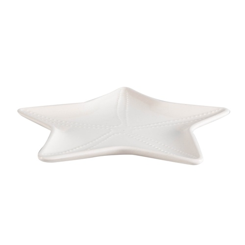  STARFISH SUNUM TABAĞI