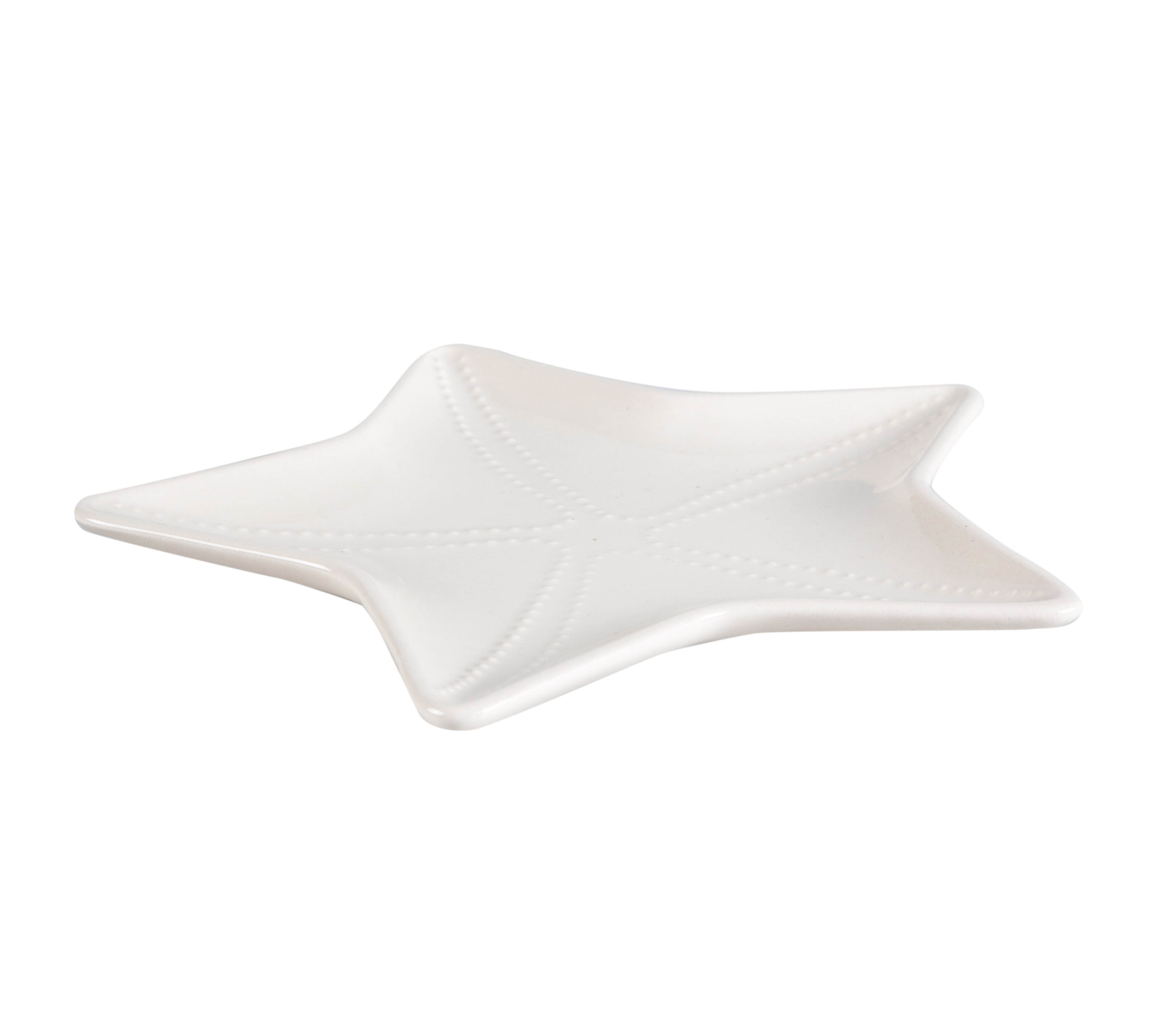 STARFISH SUNUM TABAĞI