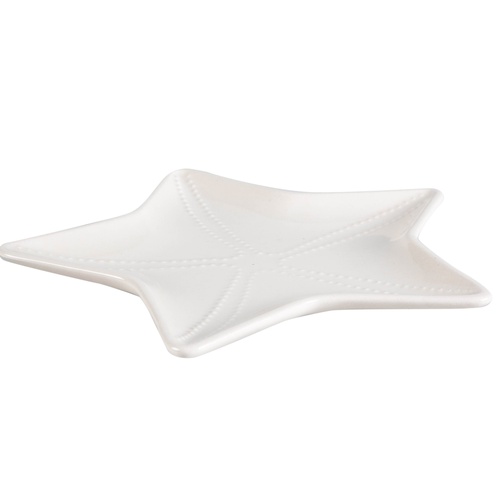  STARFISH SUNUM TABAĞI