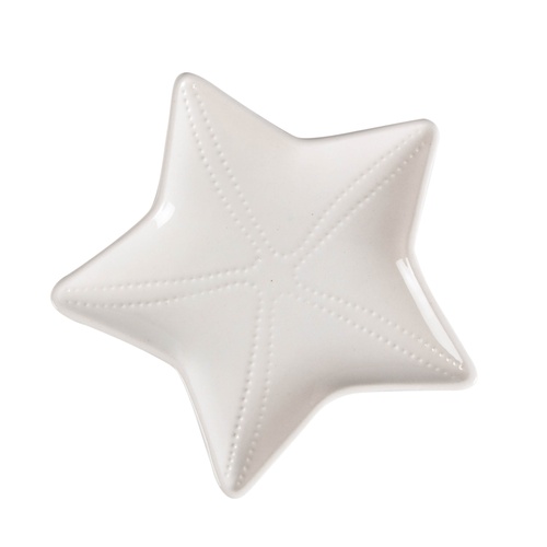  STARFISH SUNUM TABAĞI