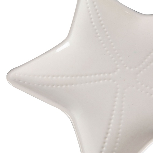  STARFISH SUNUM TABAĞI