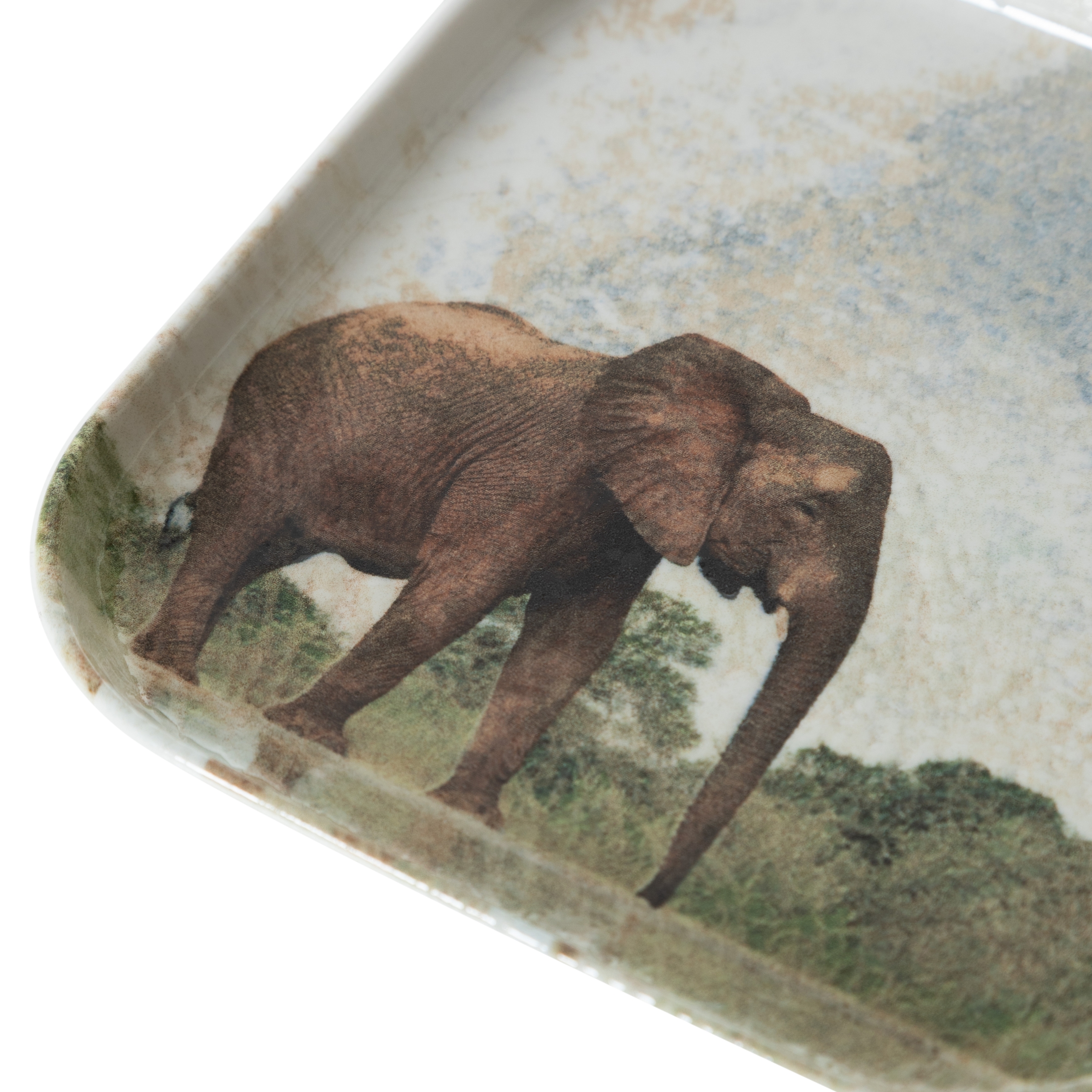 WILD KARE TABAK SETİ 17CM-6LI