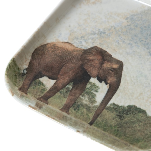  WILD KARE TABAK SETİ 17CM-6LI